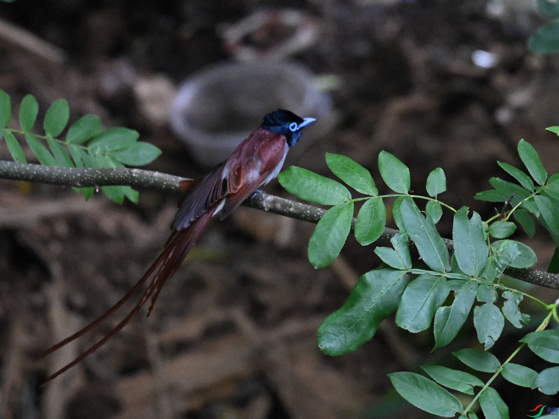 DSC_8192.JPG
