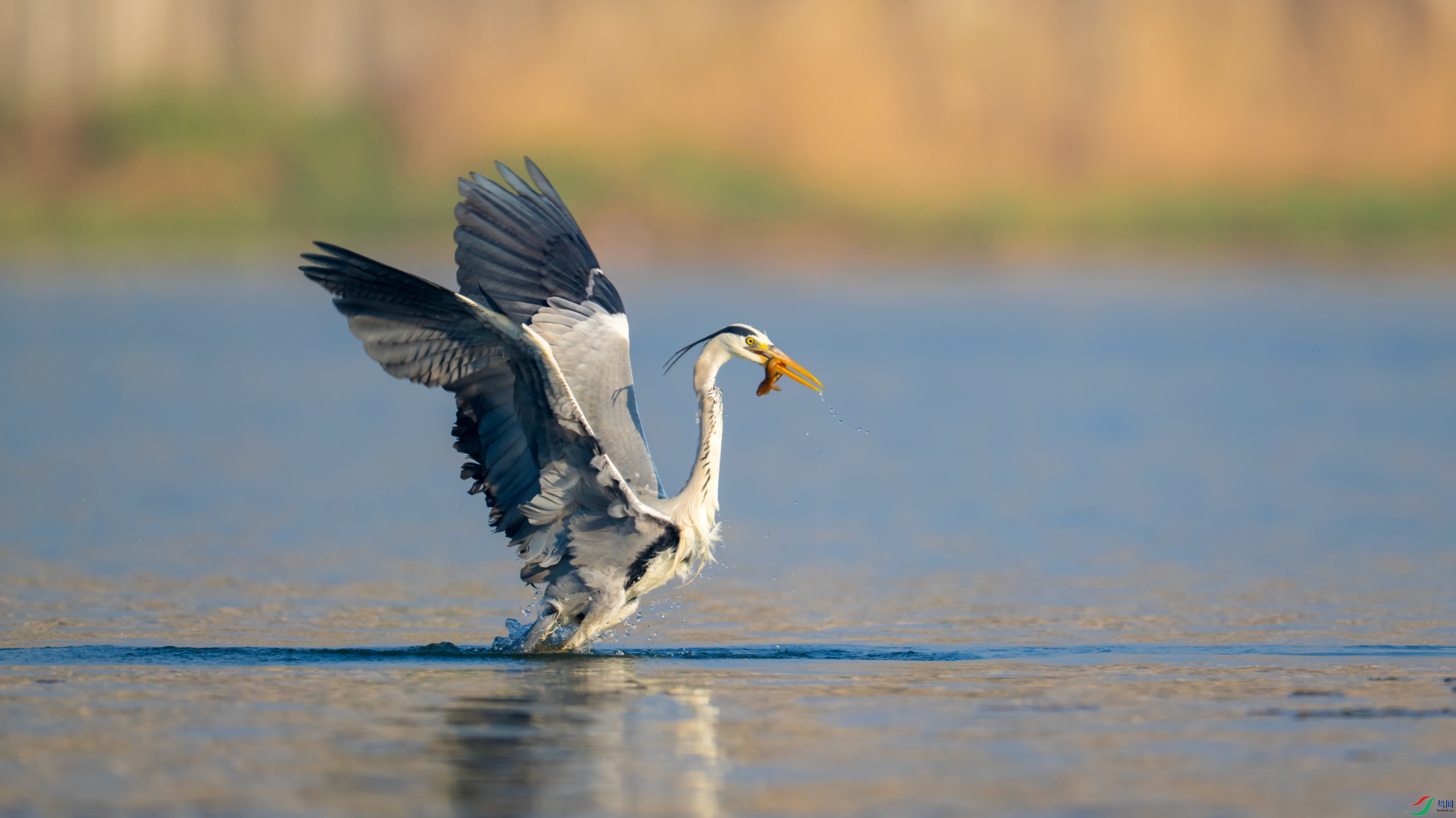 DSC_5428.jpg