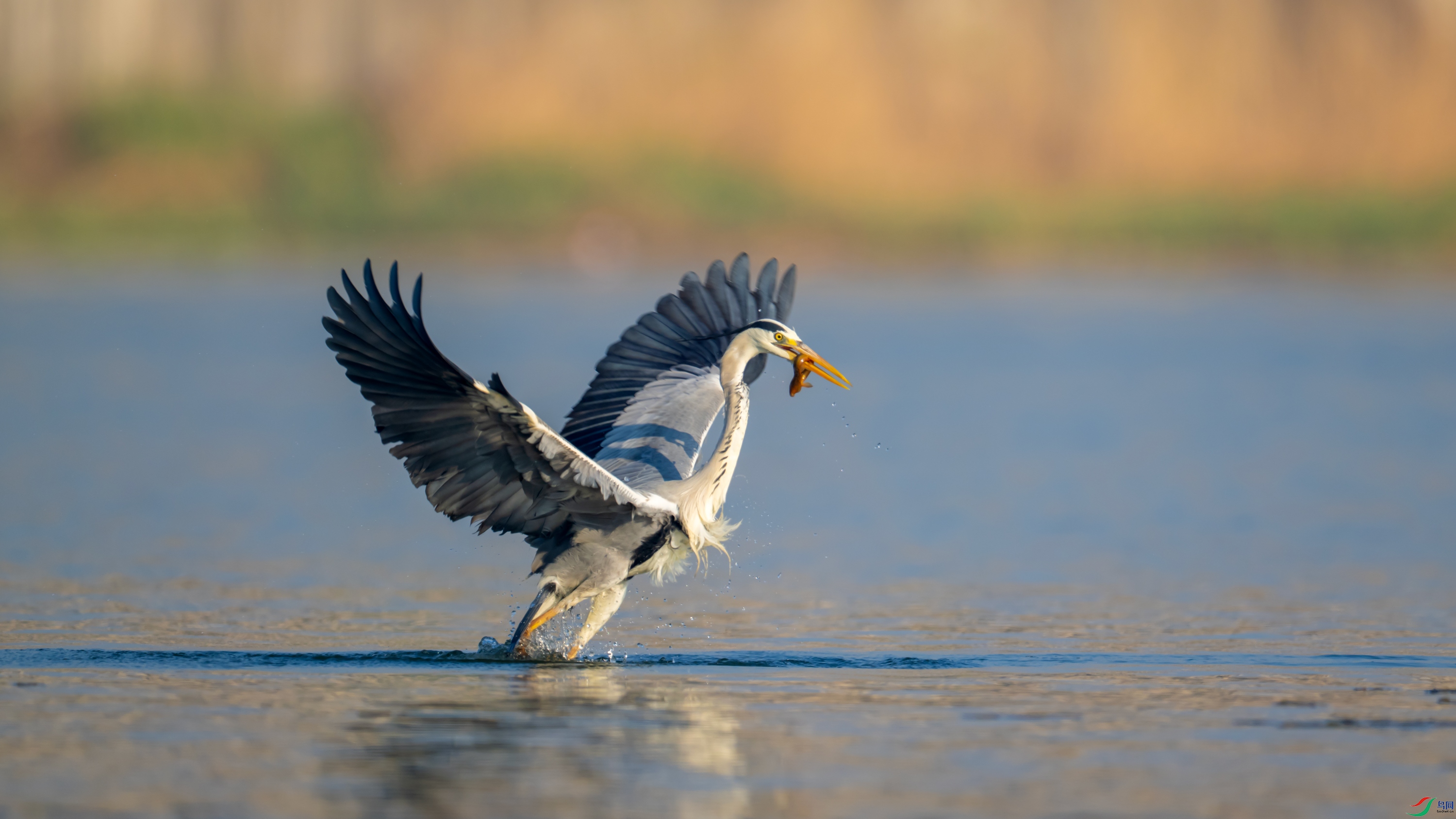 DSC_5429.jpg