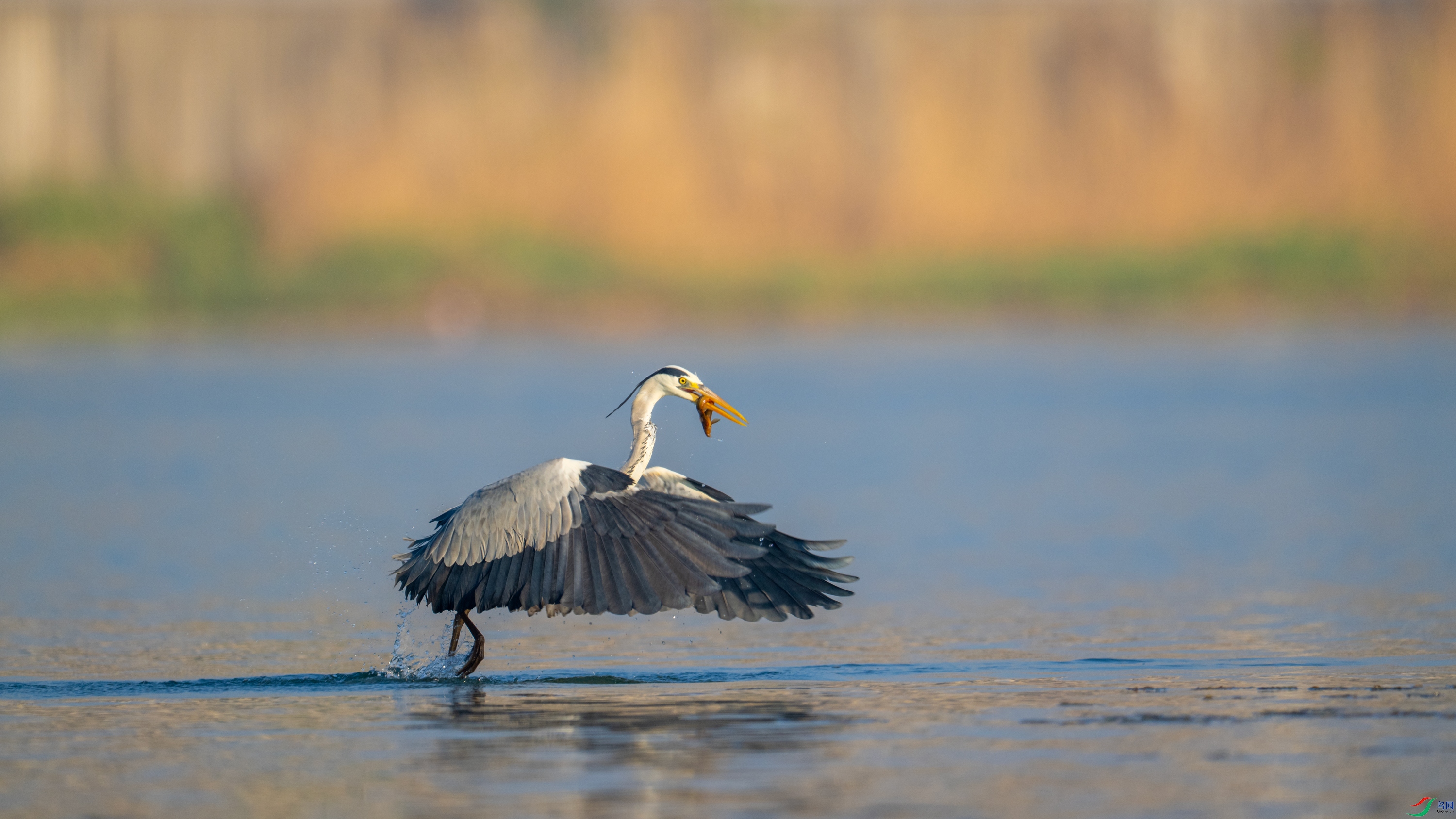 DSC_5431.jpg