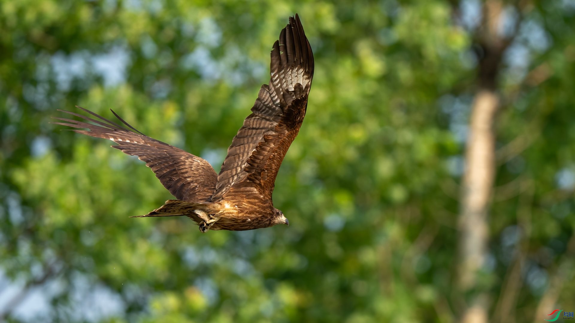 DSC06809 ����.jpg