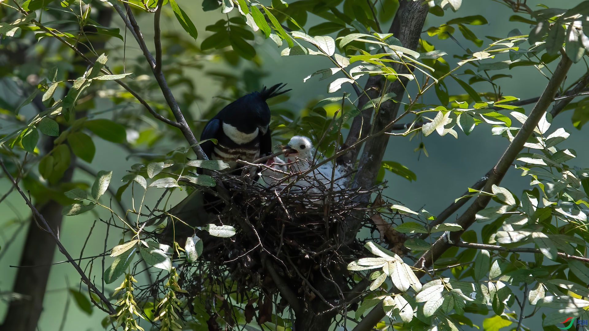 _WGB0011 ����.jpg