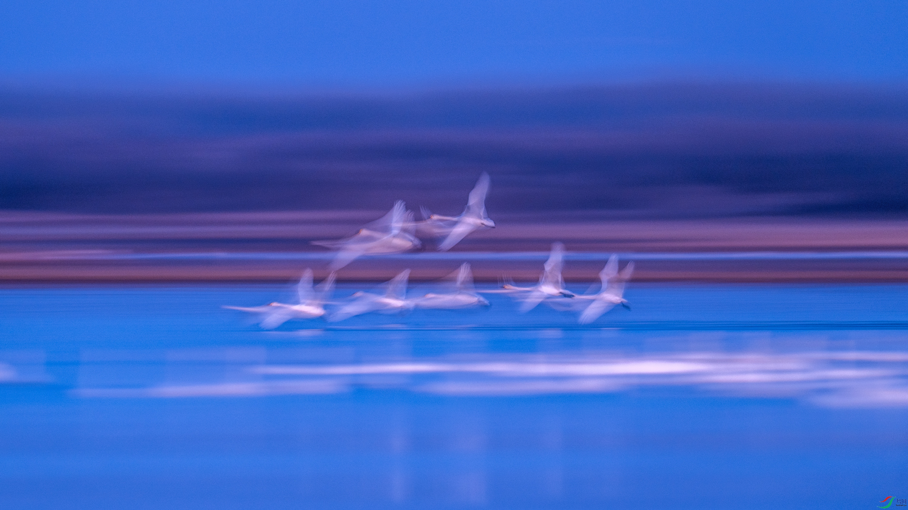 DSC_8471x.jpg