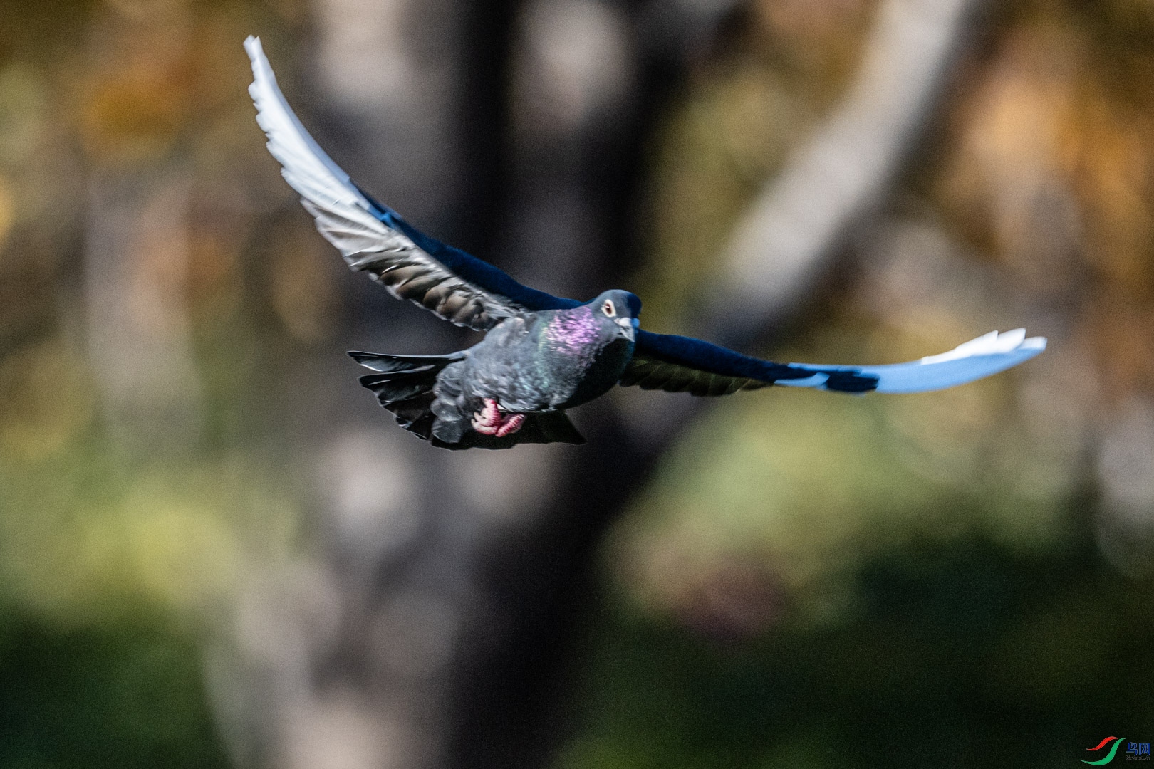 DSC_7686.jpg