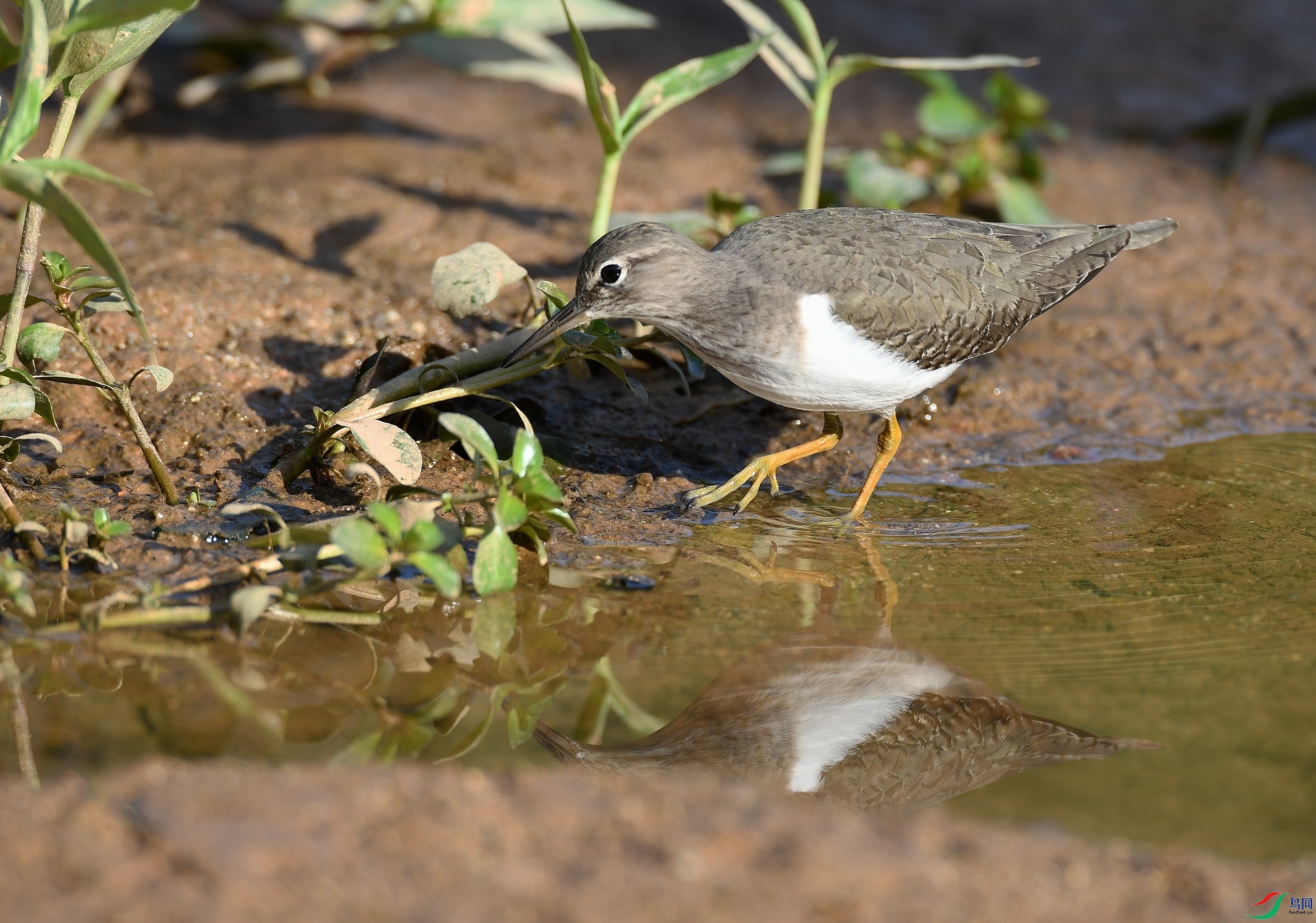 DSC_2900.jpg