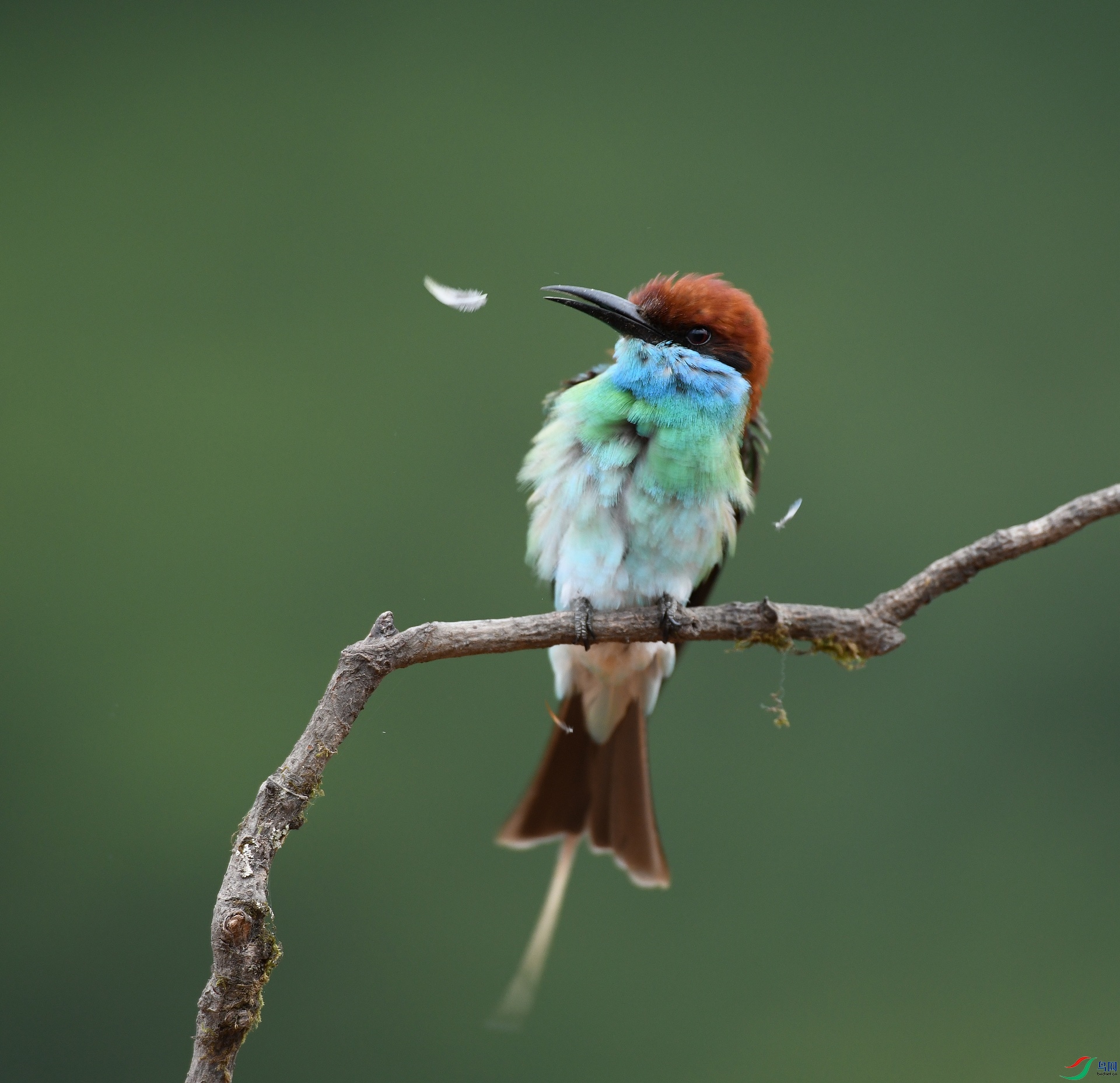 DSC_0954.jpg