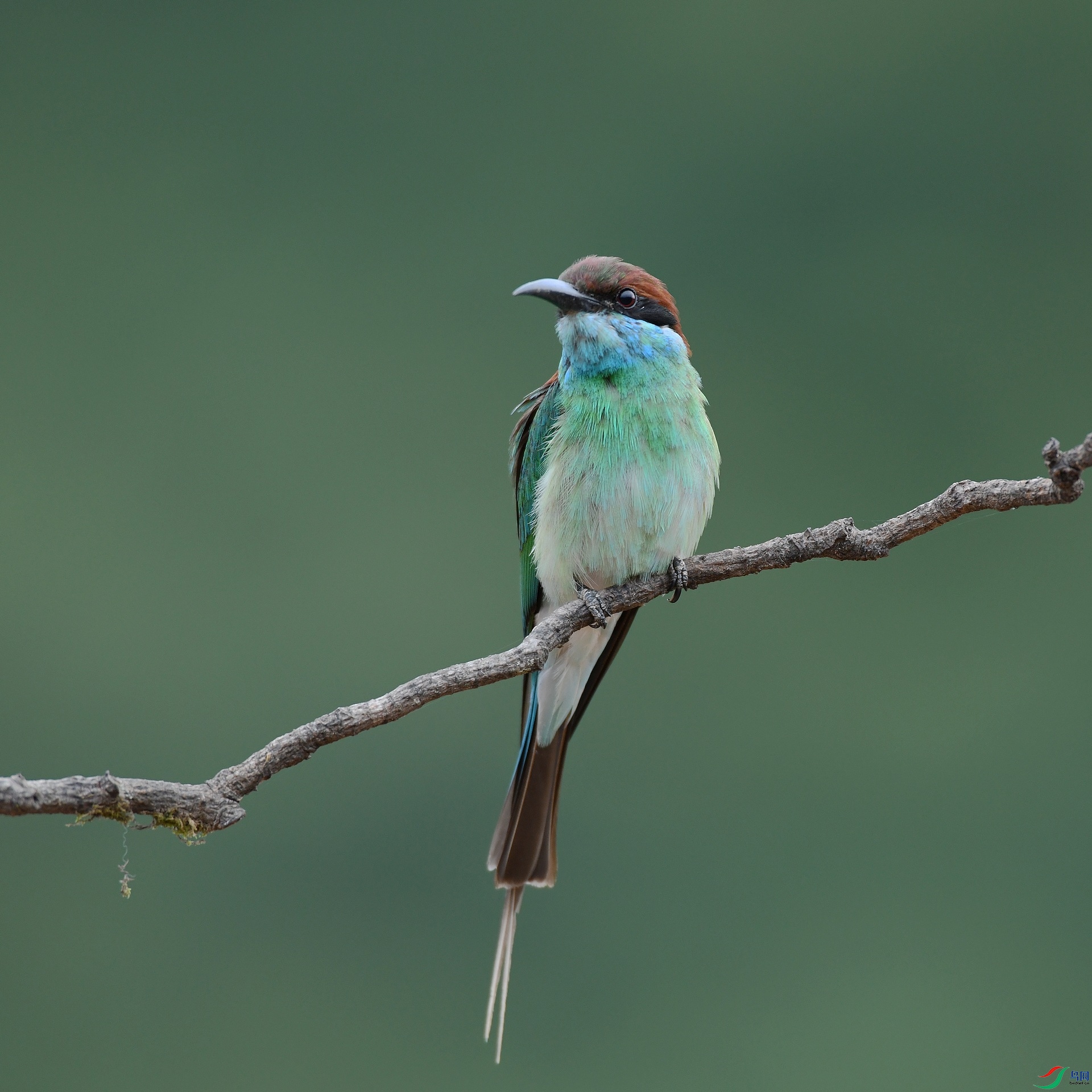 DSC_0907.jpg