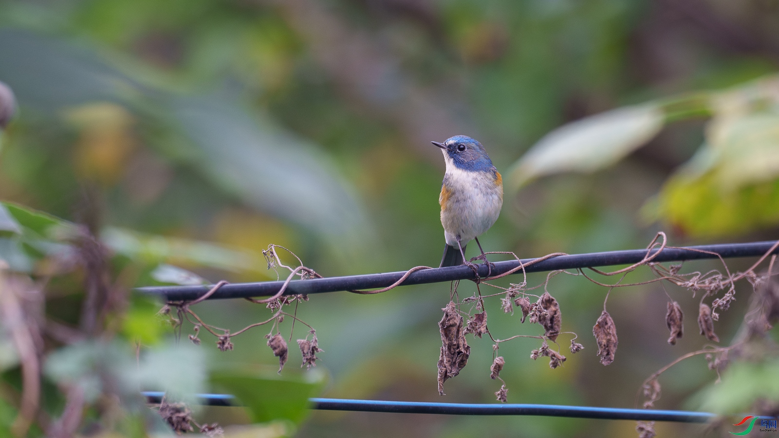 DSC09817.jpg