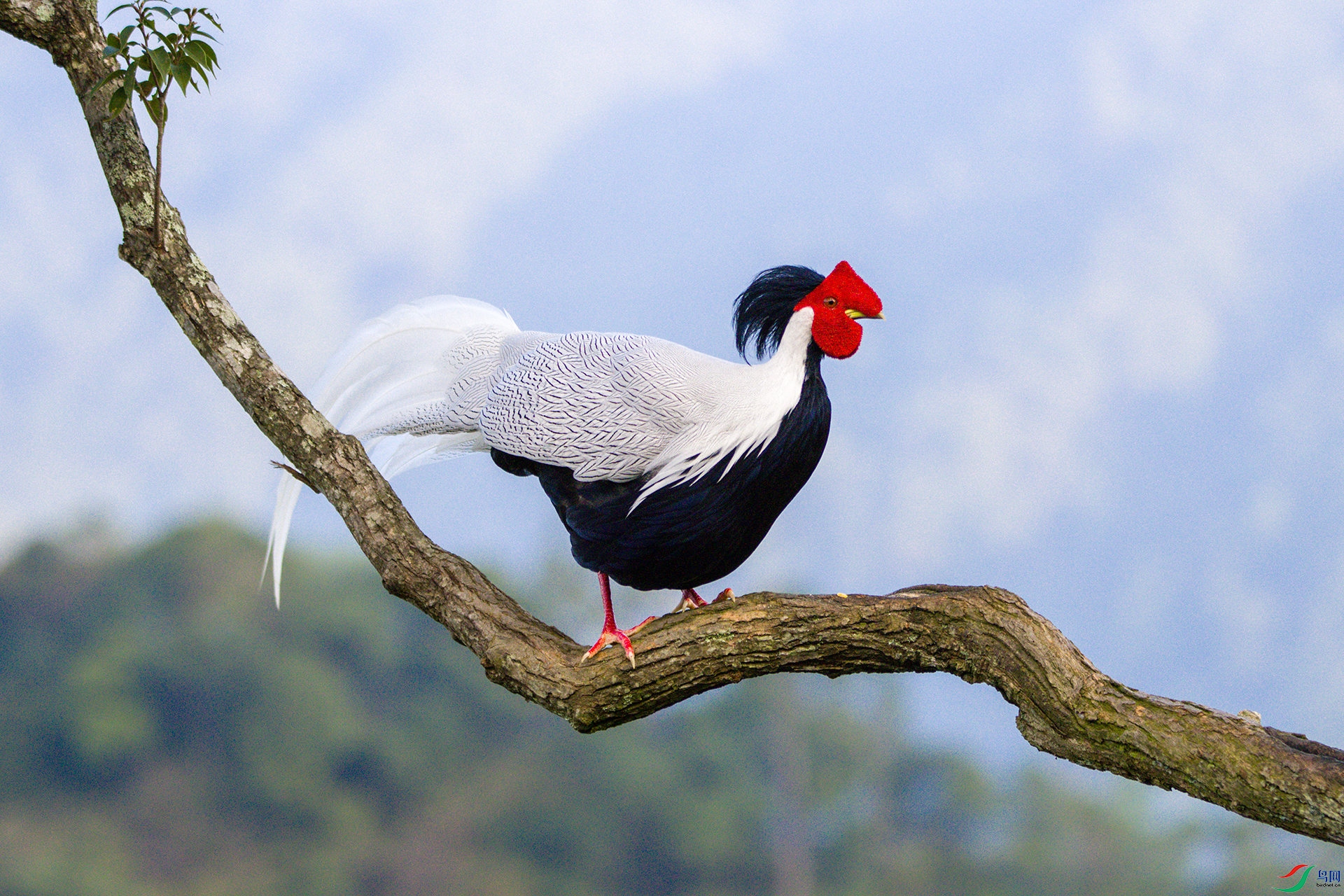 2H6A0890 ����1_����.jpg