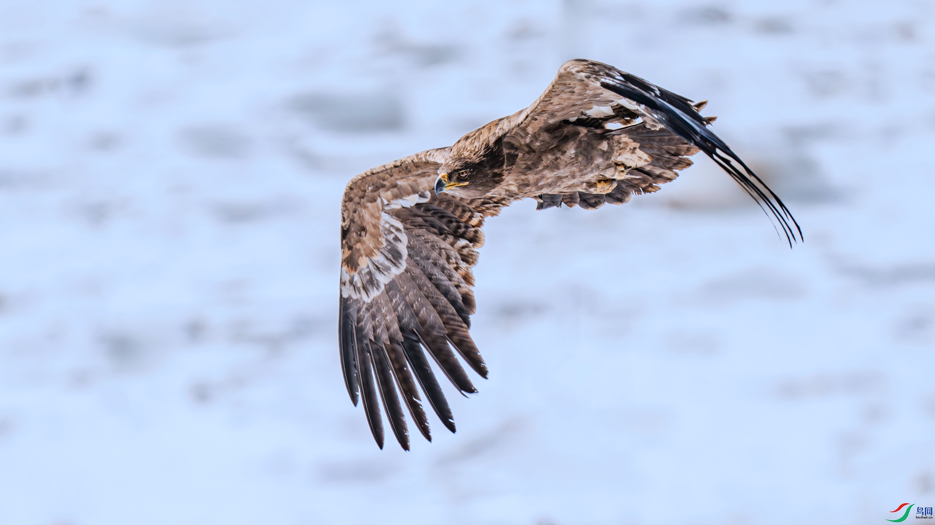 DSC_1730 ����_����.jpg