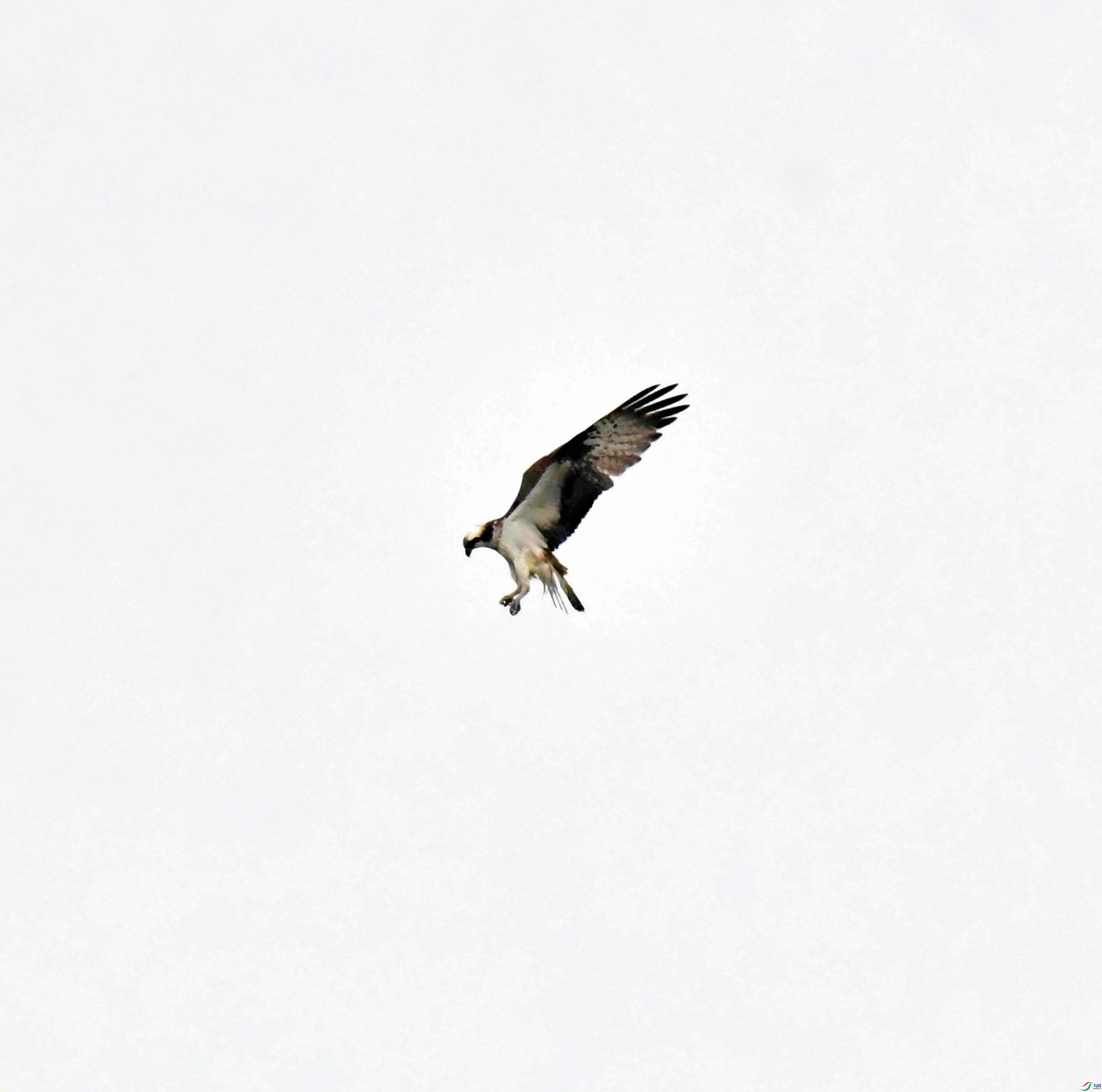 DSC_8838.JPG