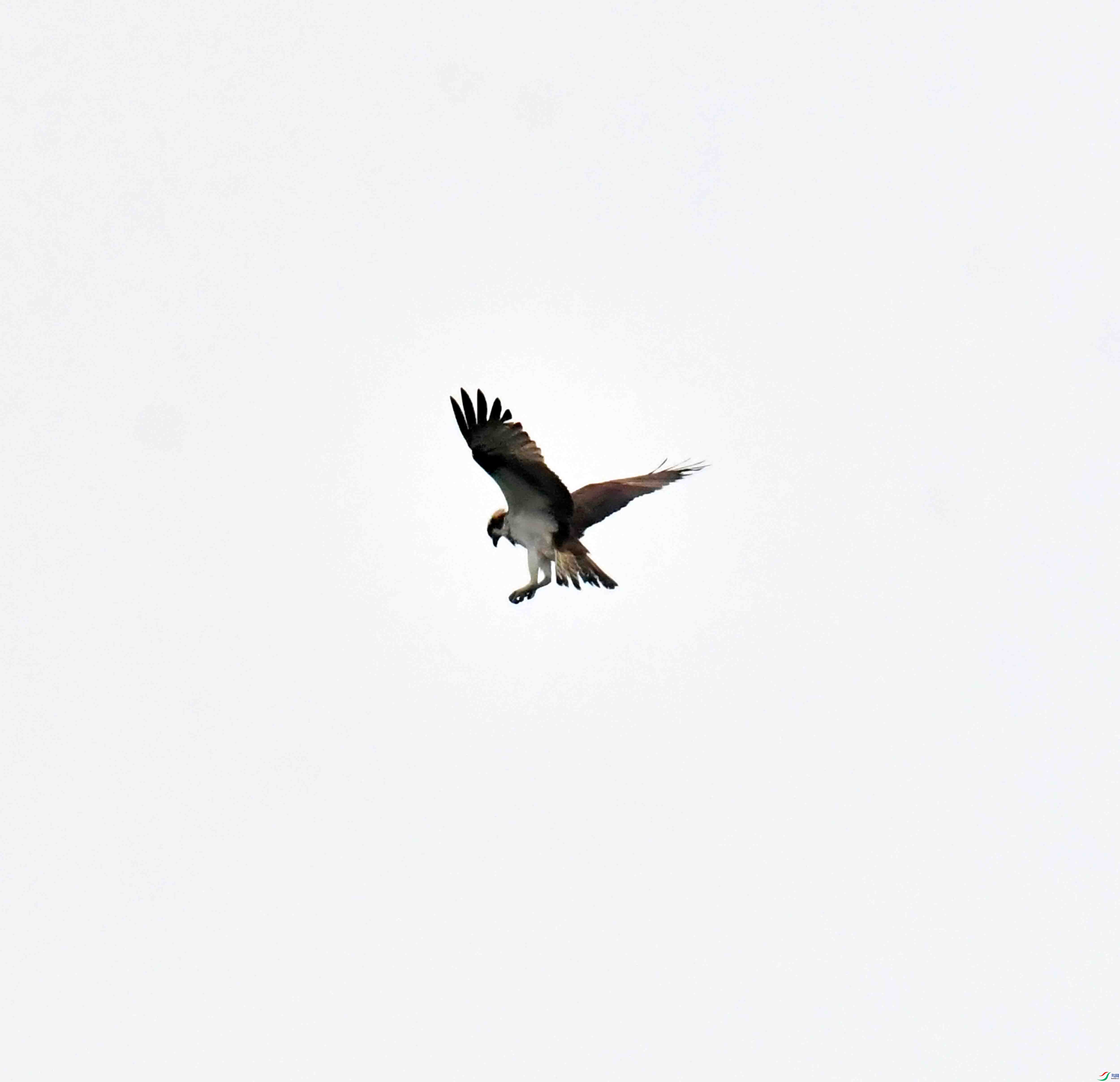 DSC_8904.JPG