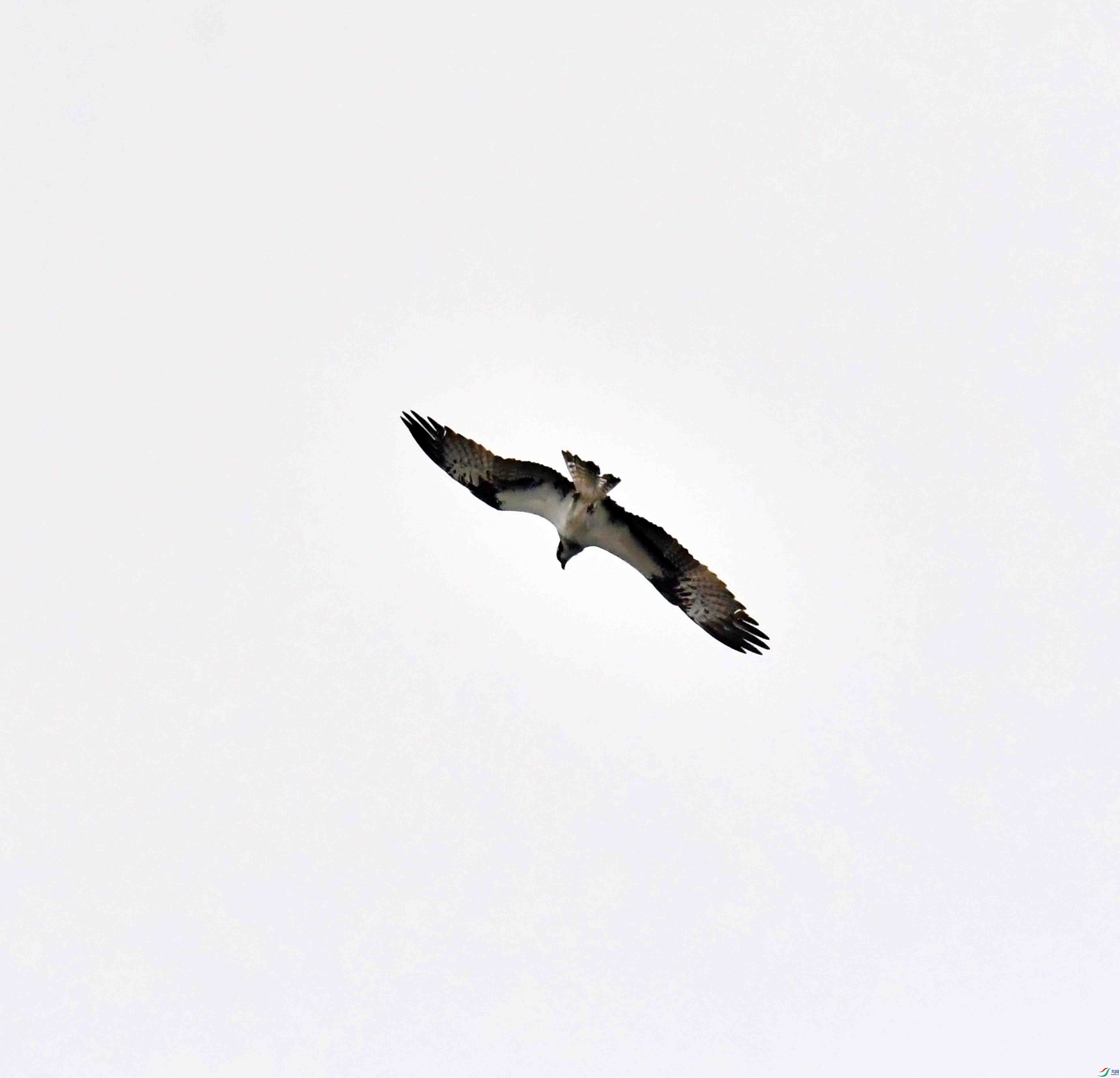 DSC_8907.JPG