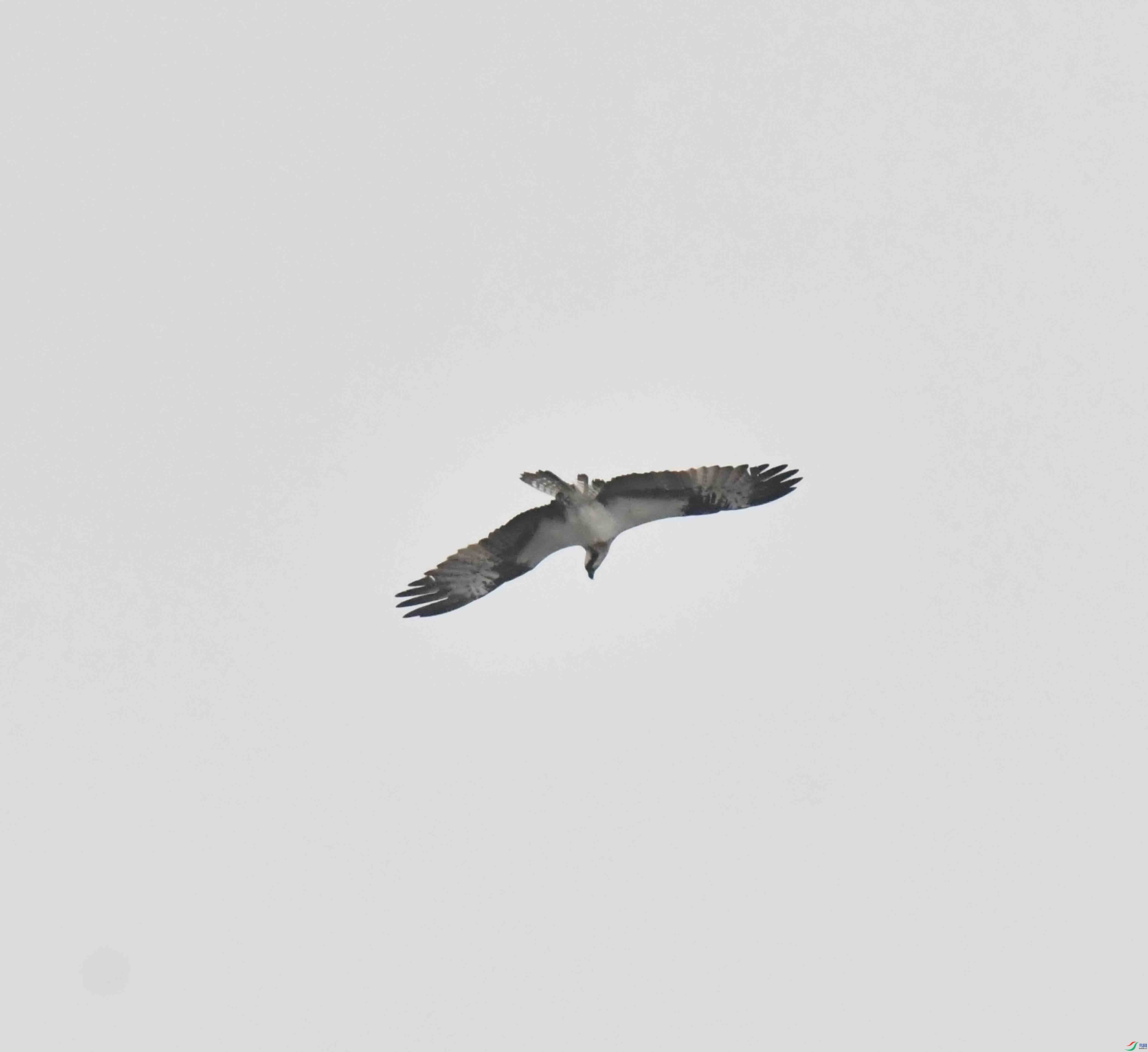 DSC_8910.JPG