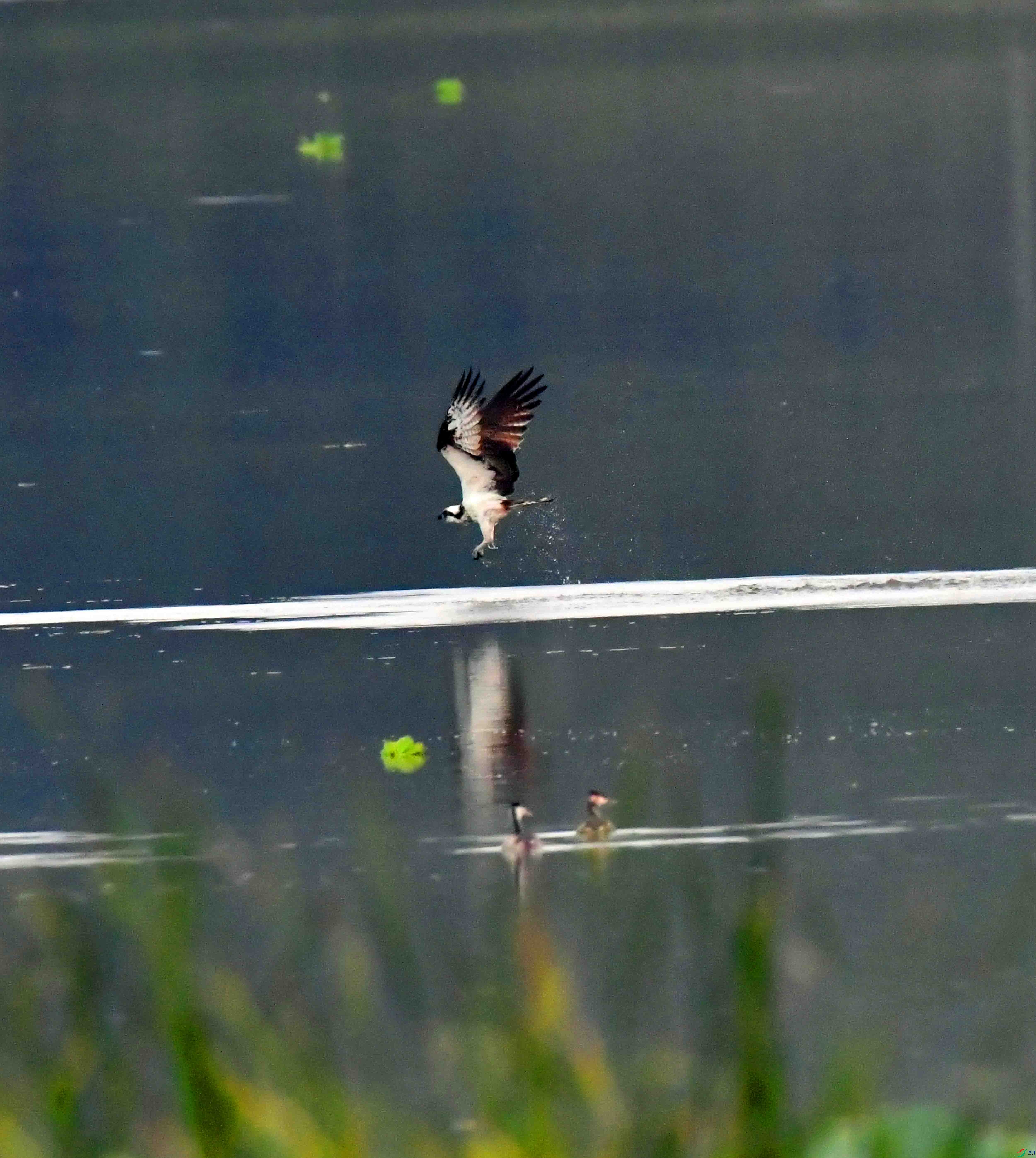 DSC_9035.JPG