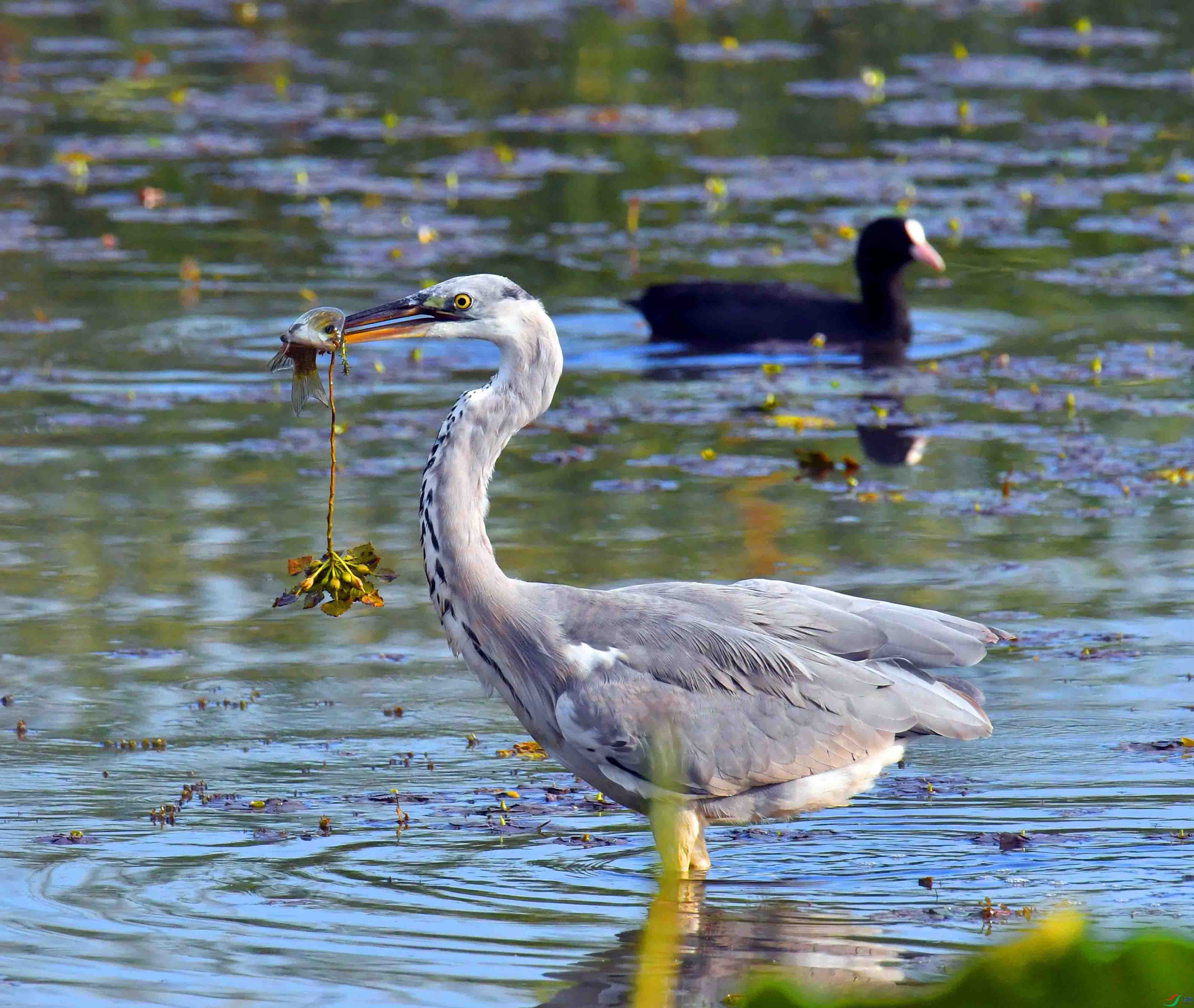 DSC_5429.JPG