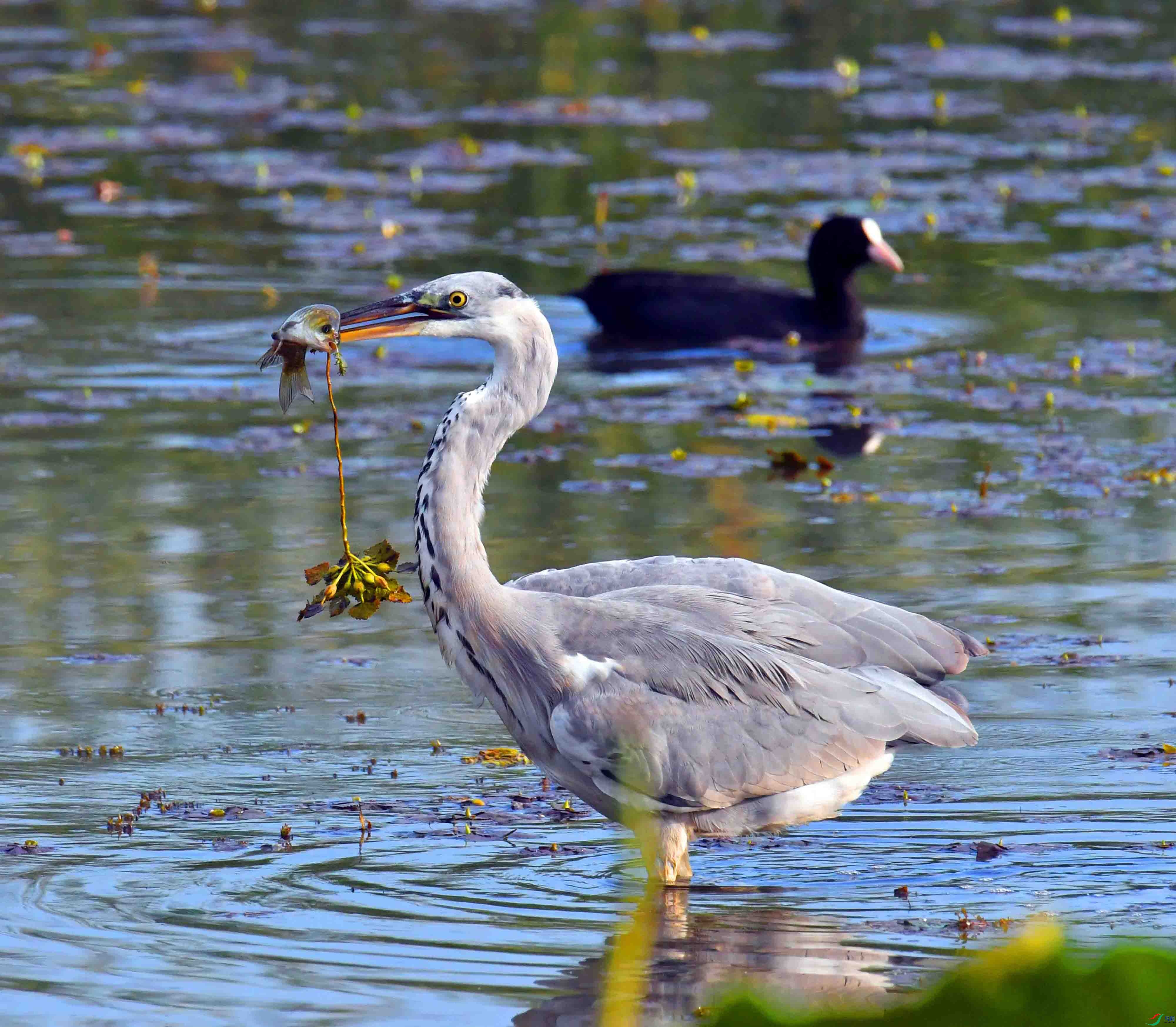 DSC_5428.JPG