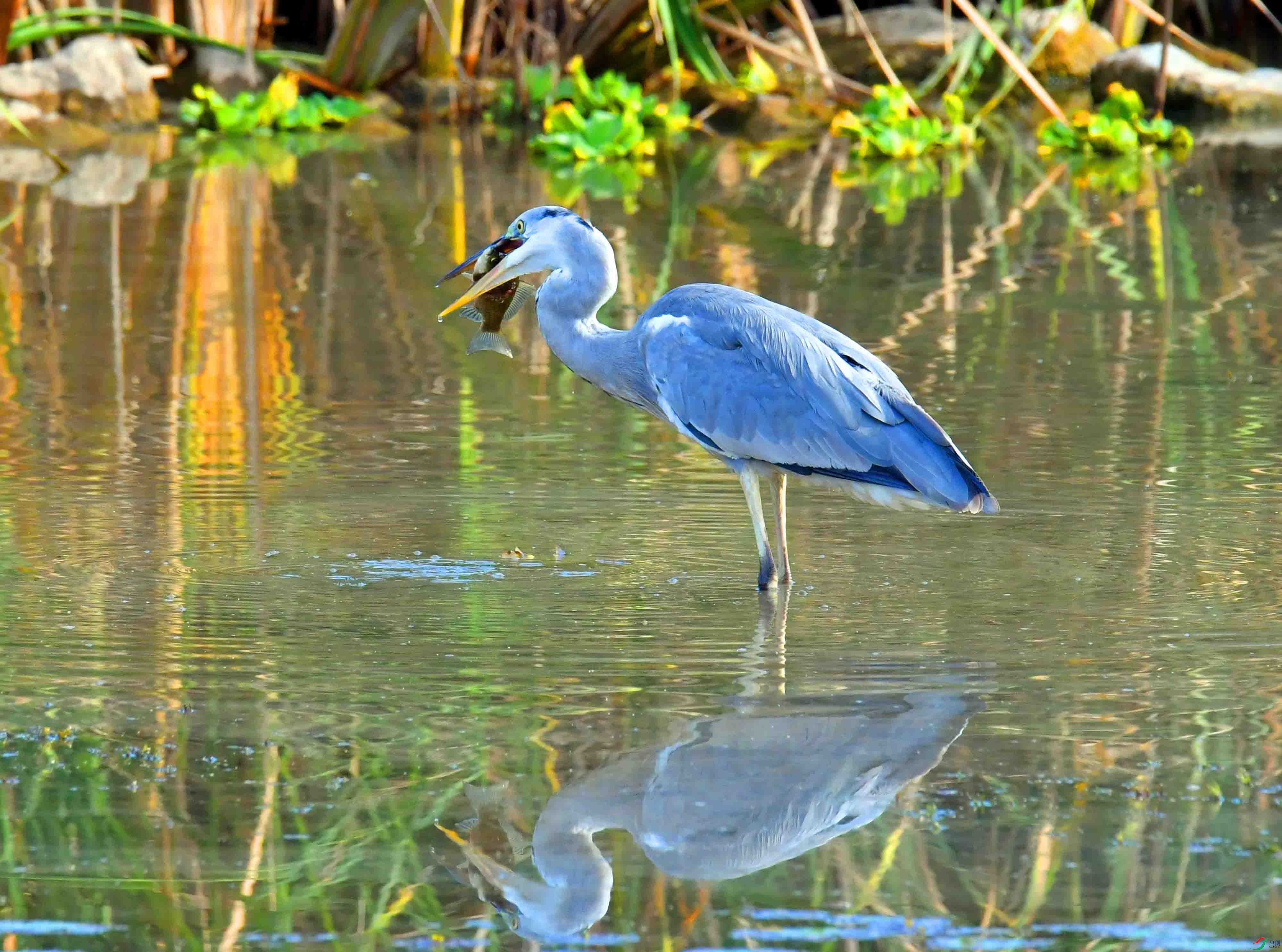 DSC_5473.JPG