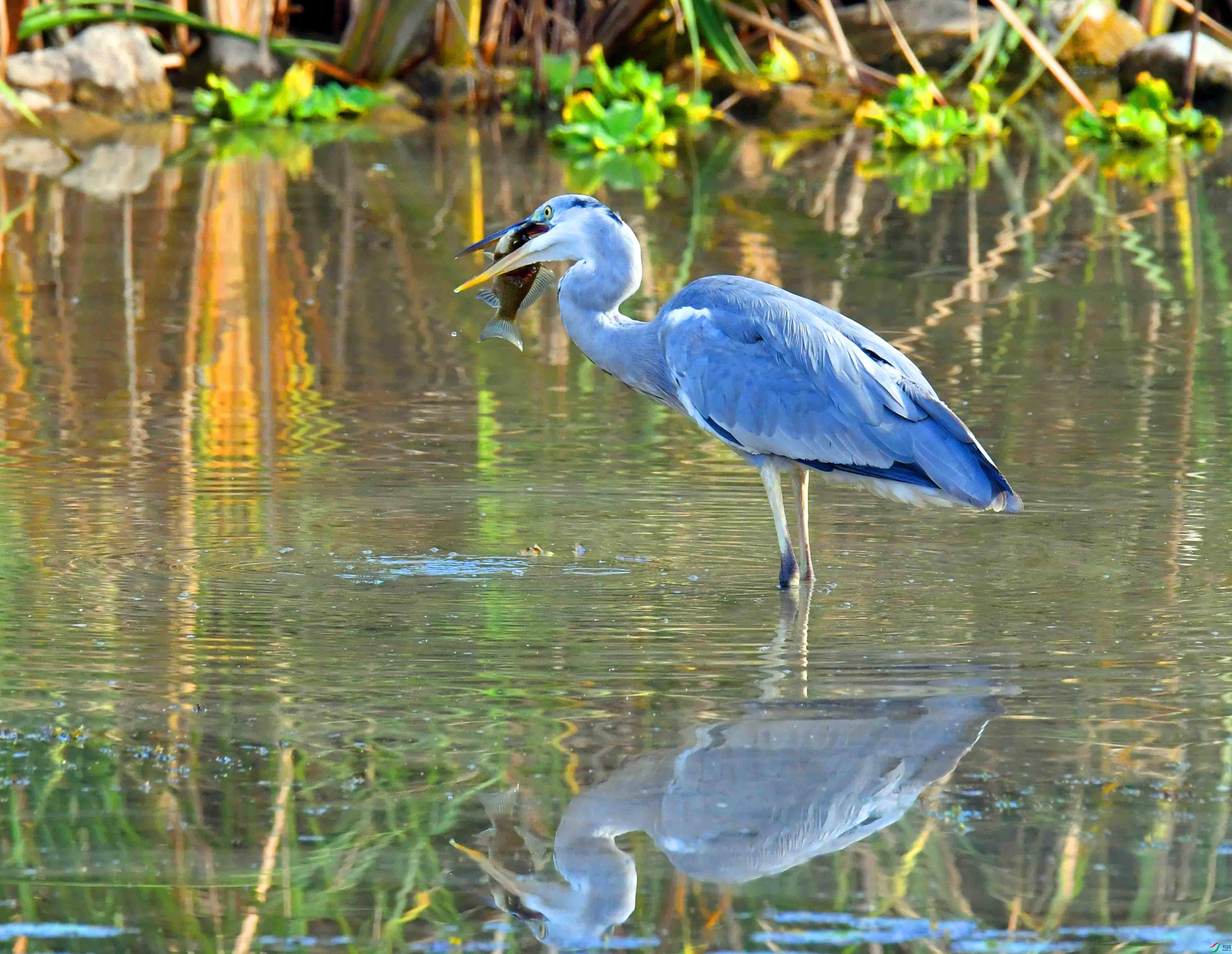 DSC_5474.JPG