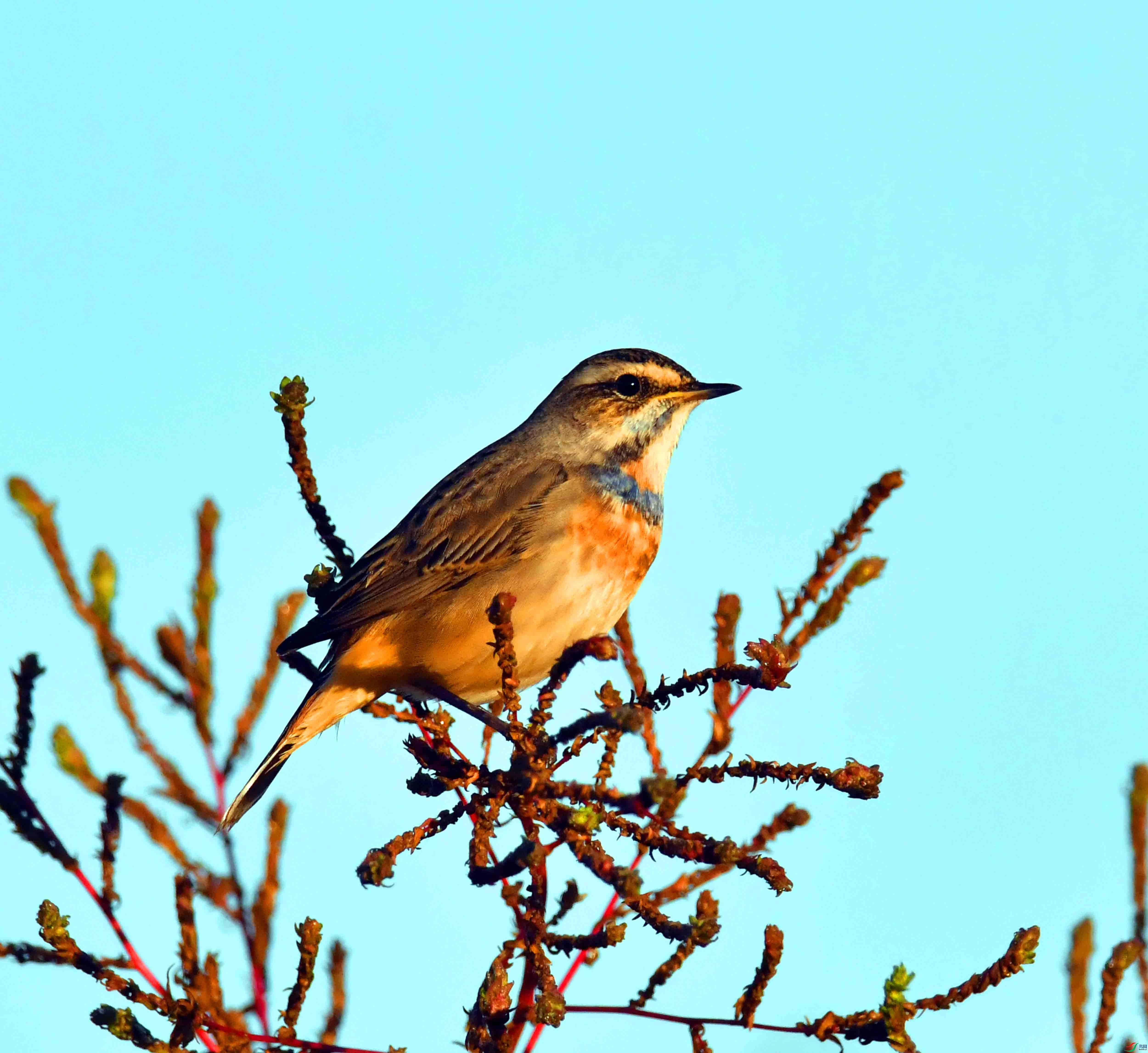 DSC_5259.JPG