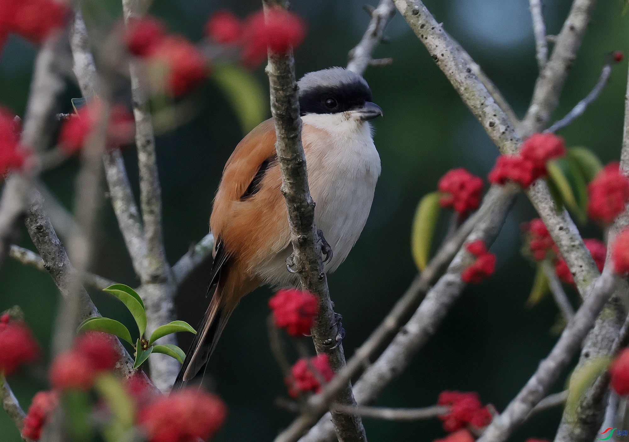 �������