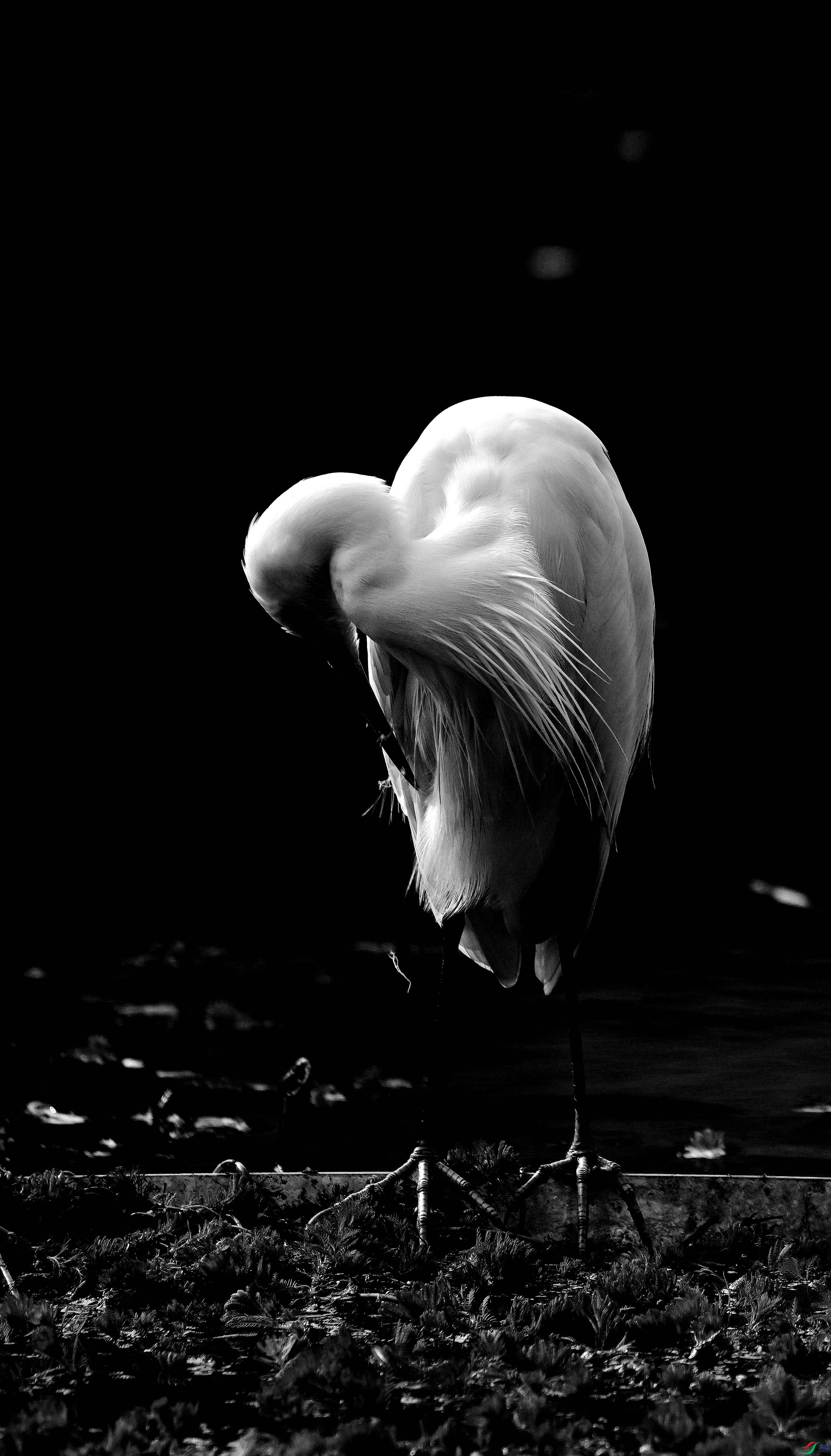 DSC_0214.jpg