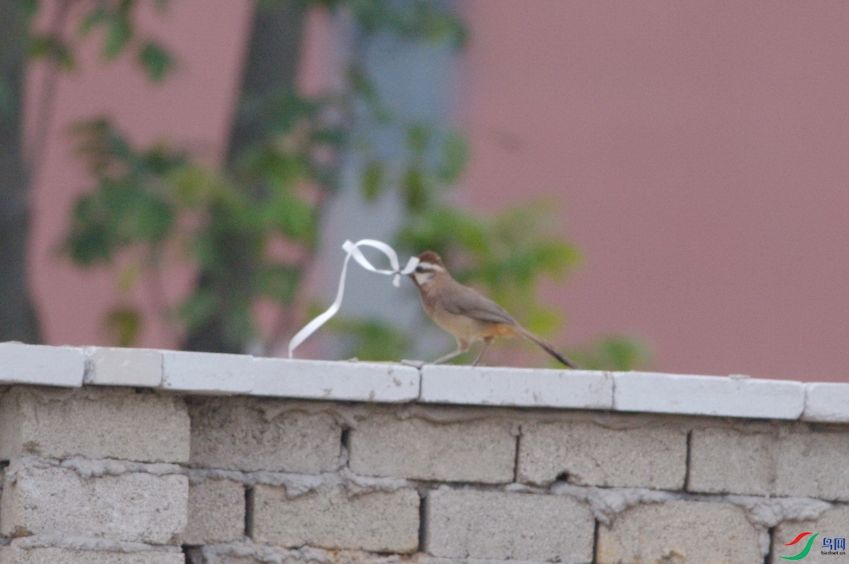 DSC_2669z_������С.jpg