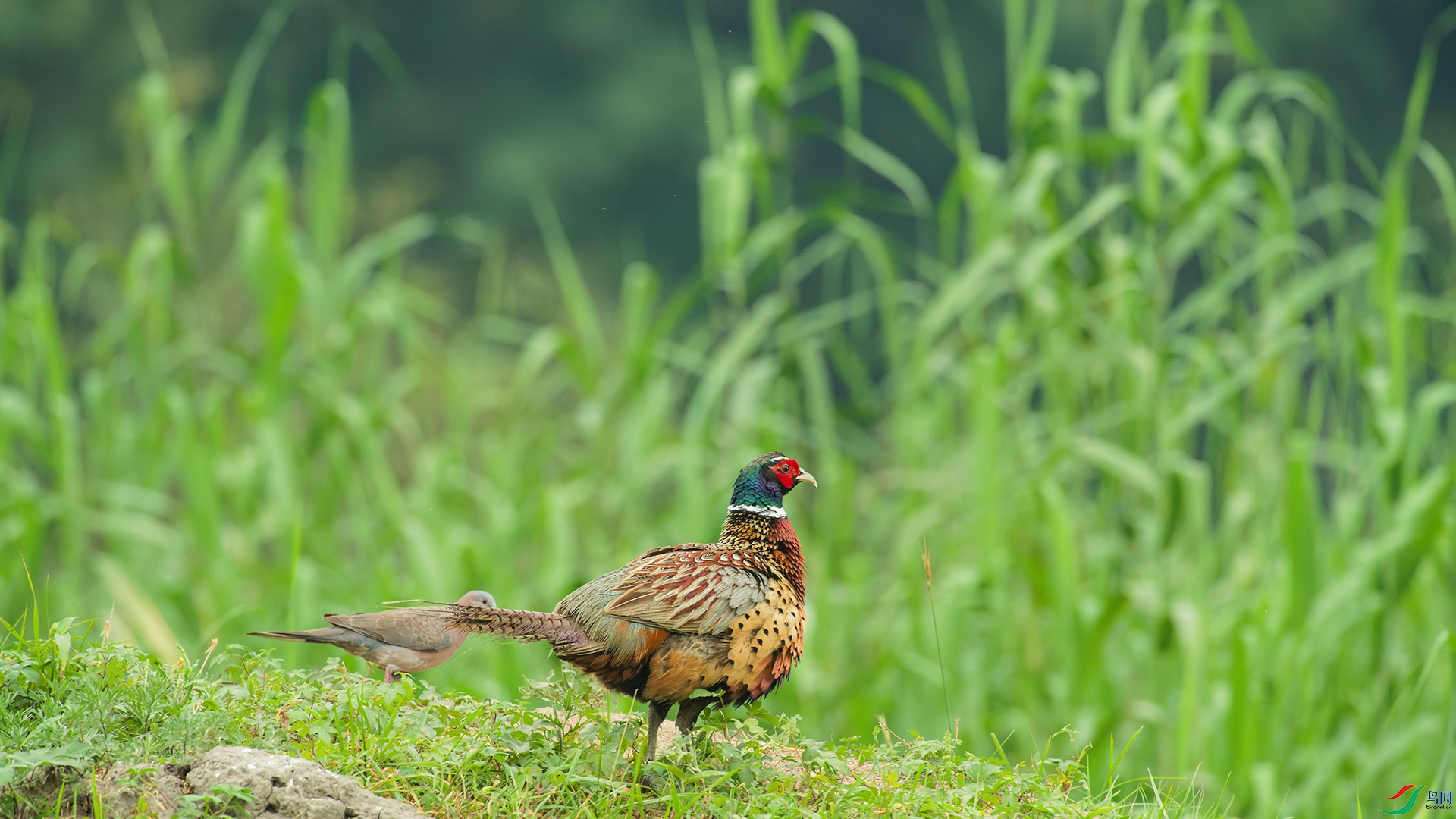 DSC_4478_DxO_DxOa.jpg