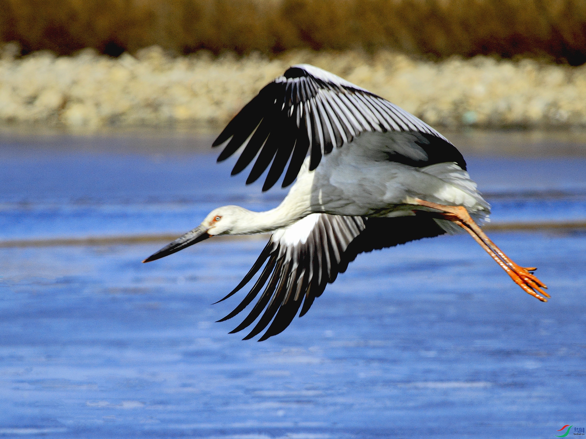 _MG_1309 ����.jpg