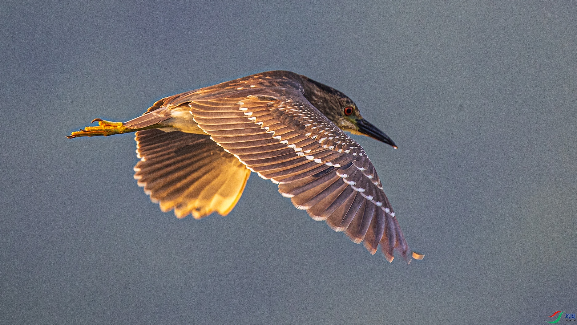 _90I8908 ����.jpg