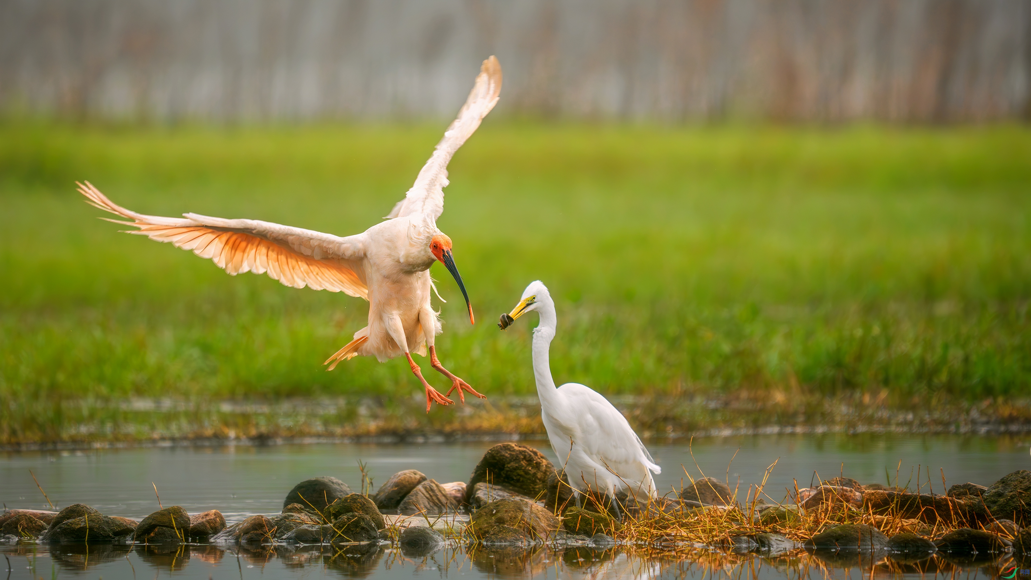 _DSC6267 ����.jpg