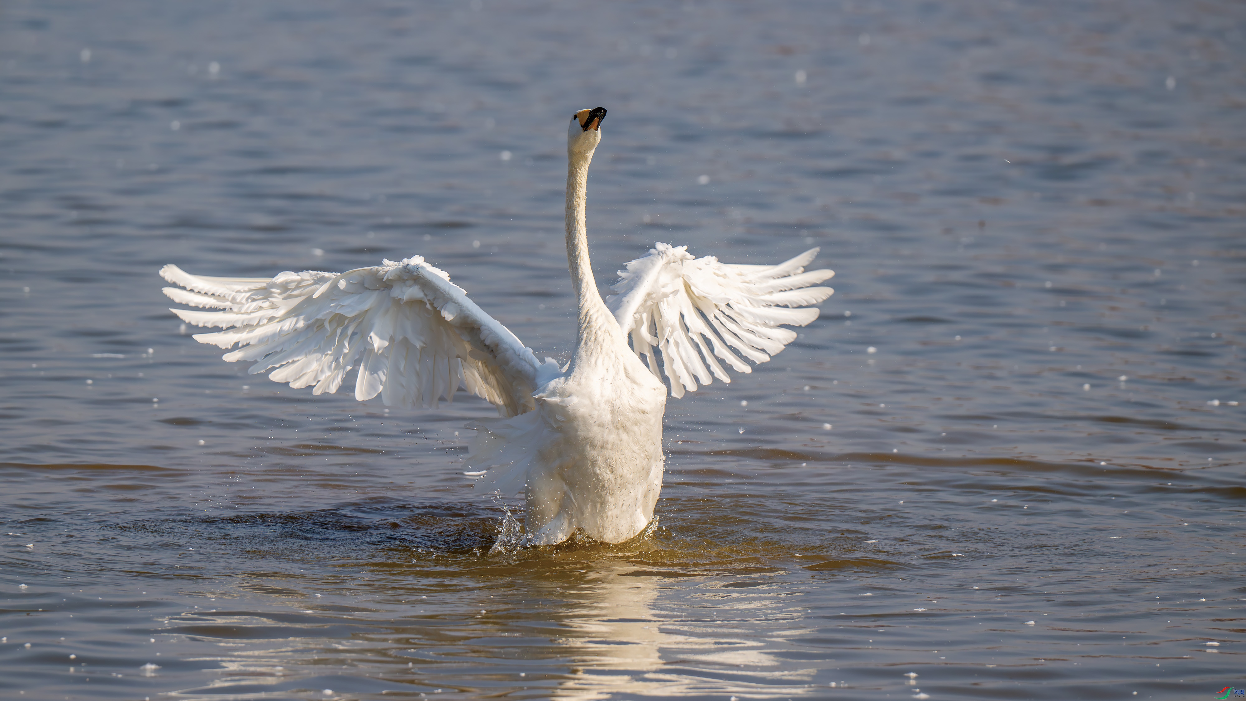 DSC_7568.jpg