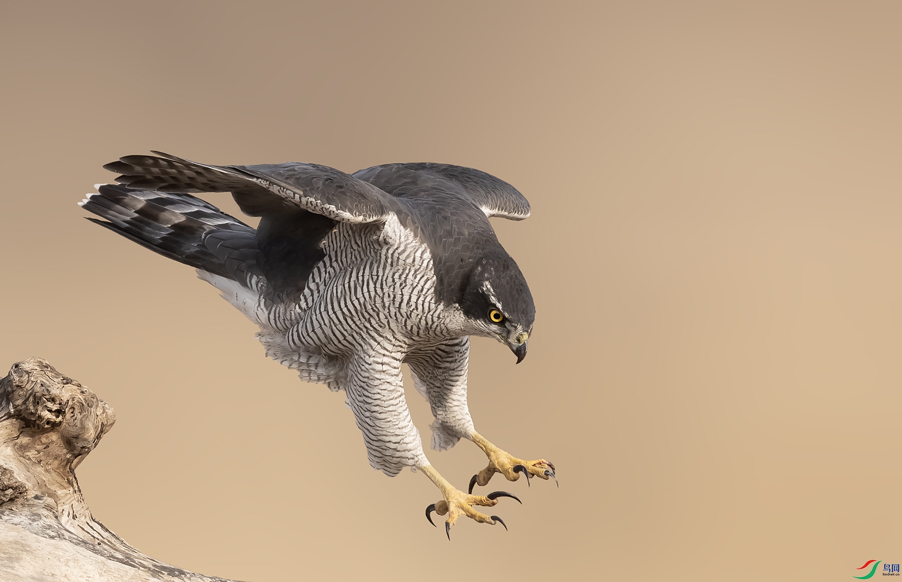 019A2257 ����.jpg