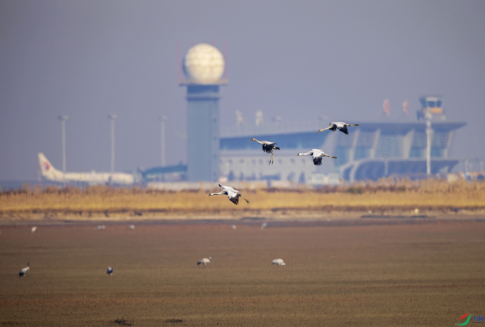 _5LM0144a.jpg