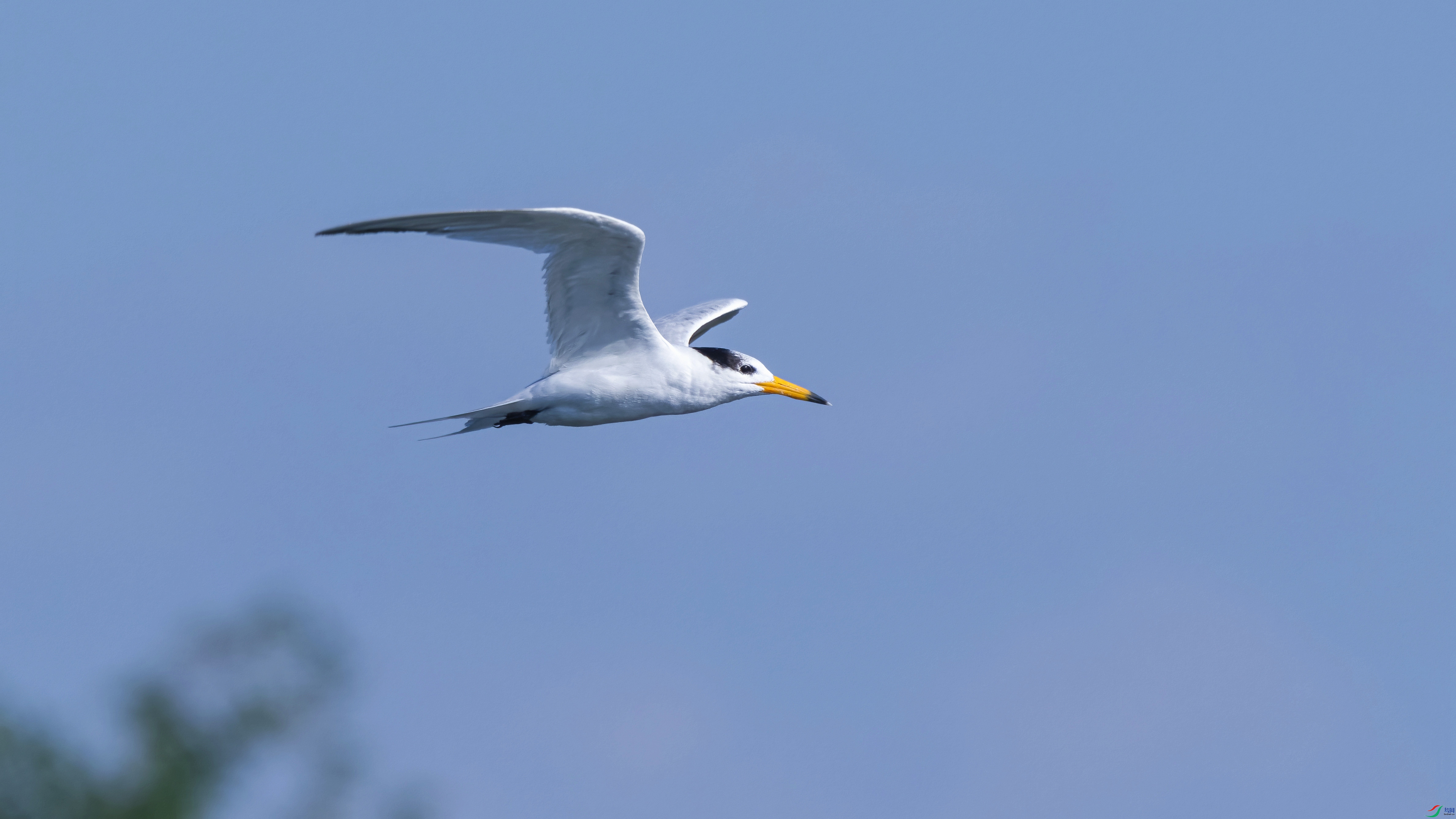 DSC_0825.jpg