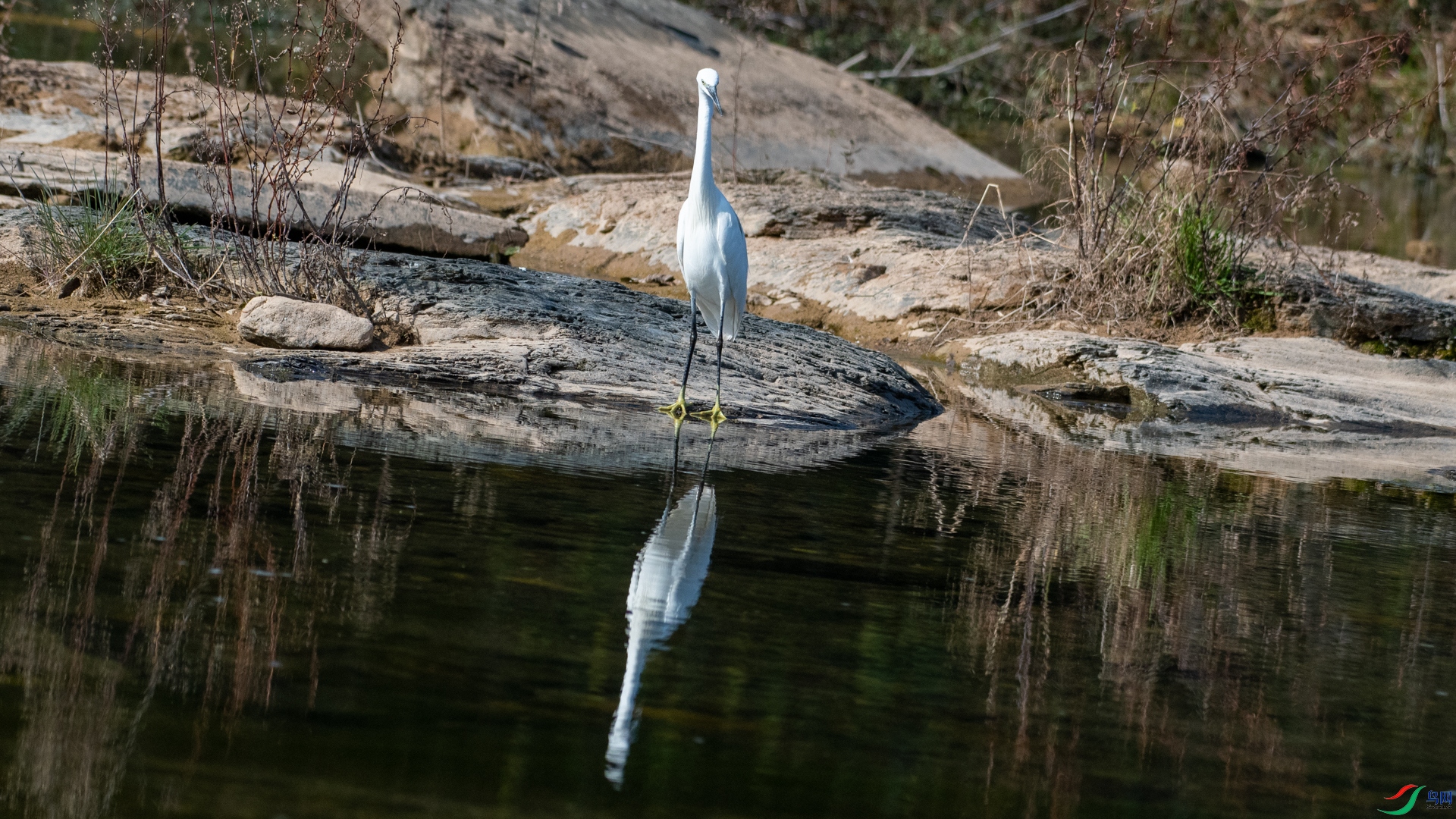 DSC_2962.jpg