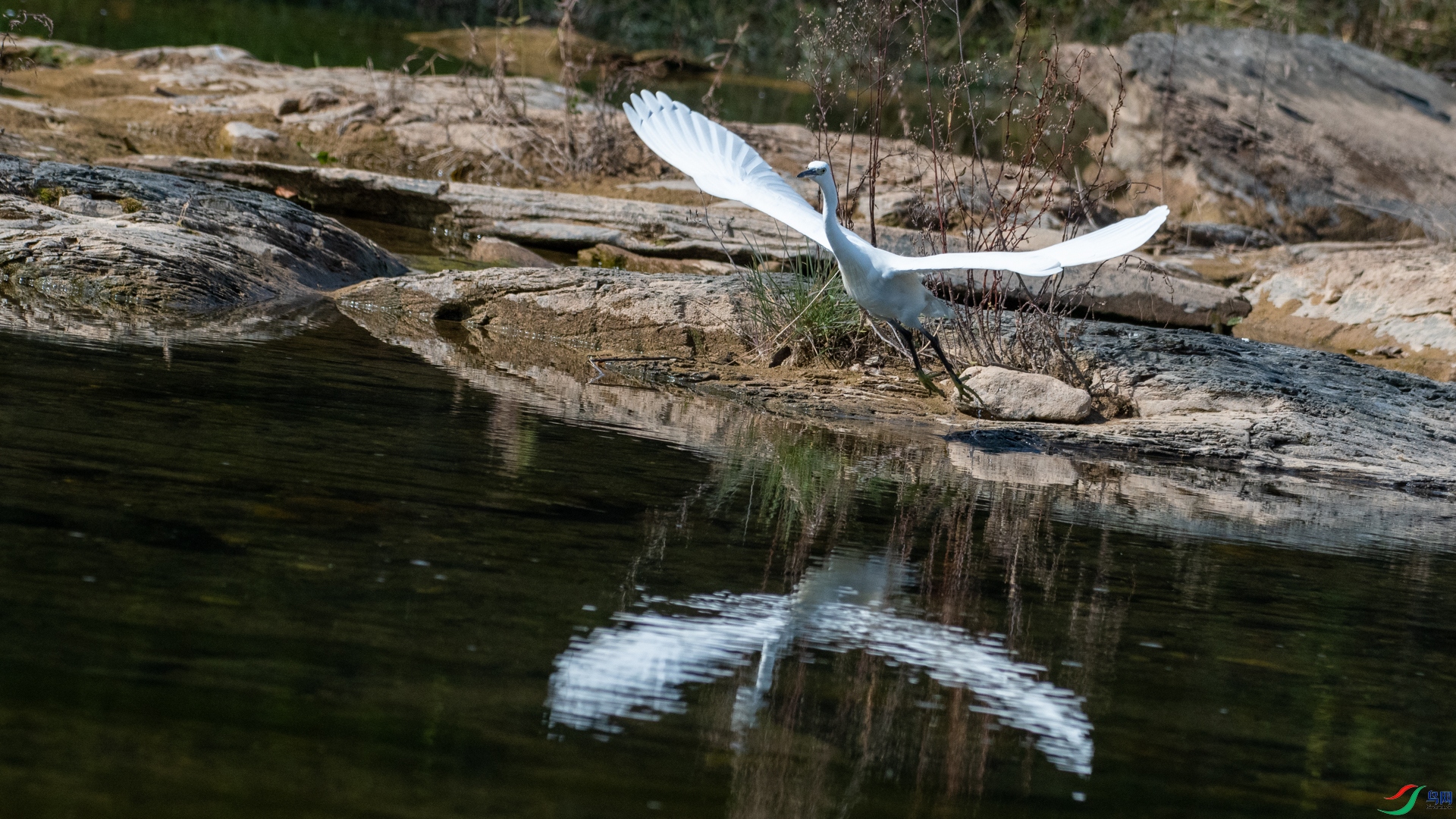 DSC_2976.jpg