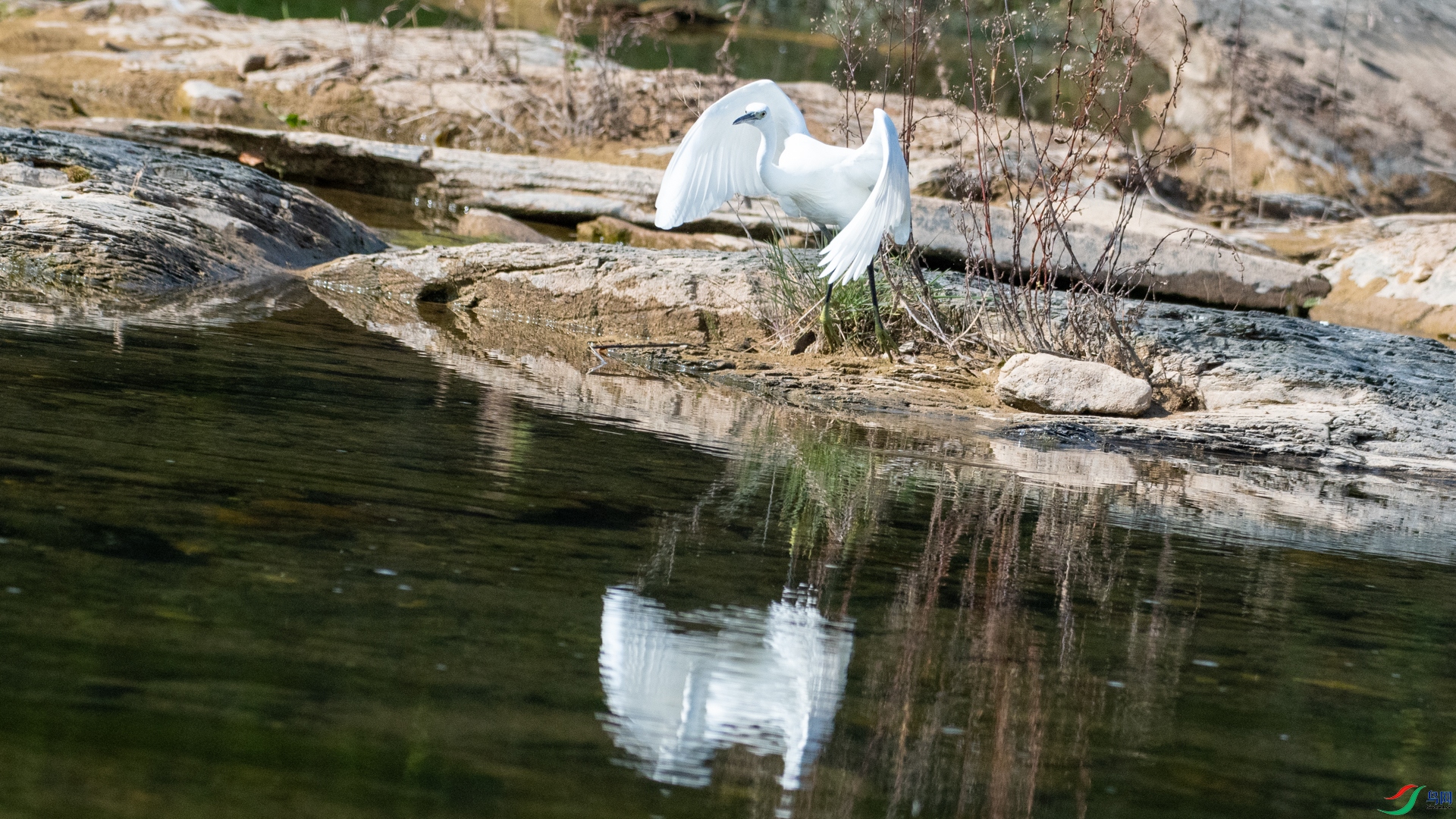 DSC_2977.jpg