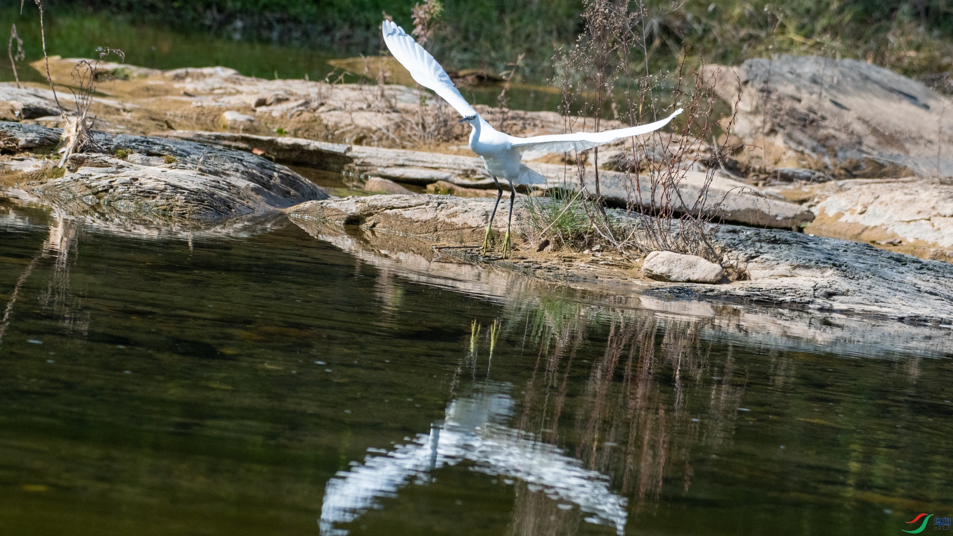 DSC_2978.jpg