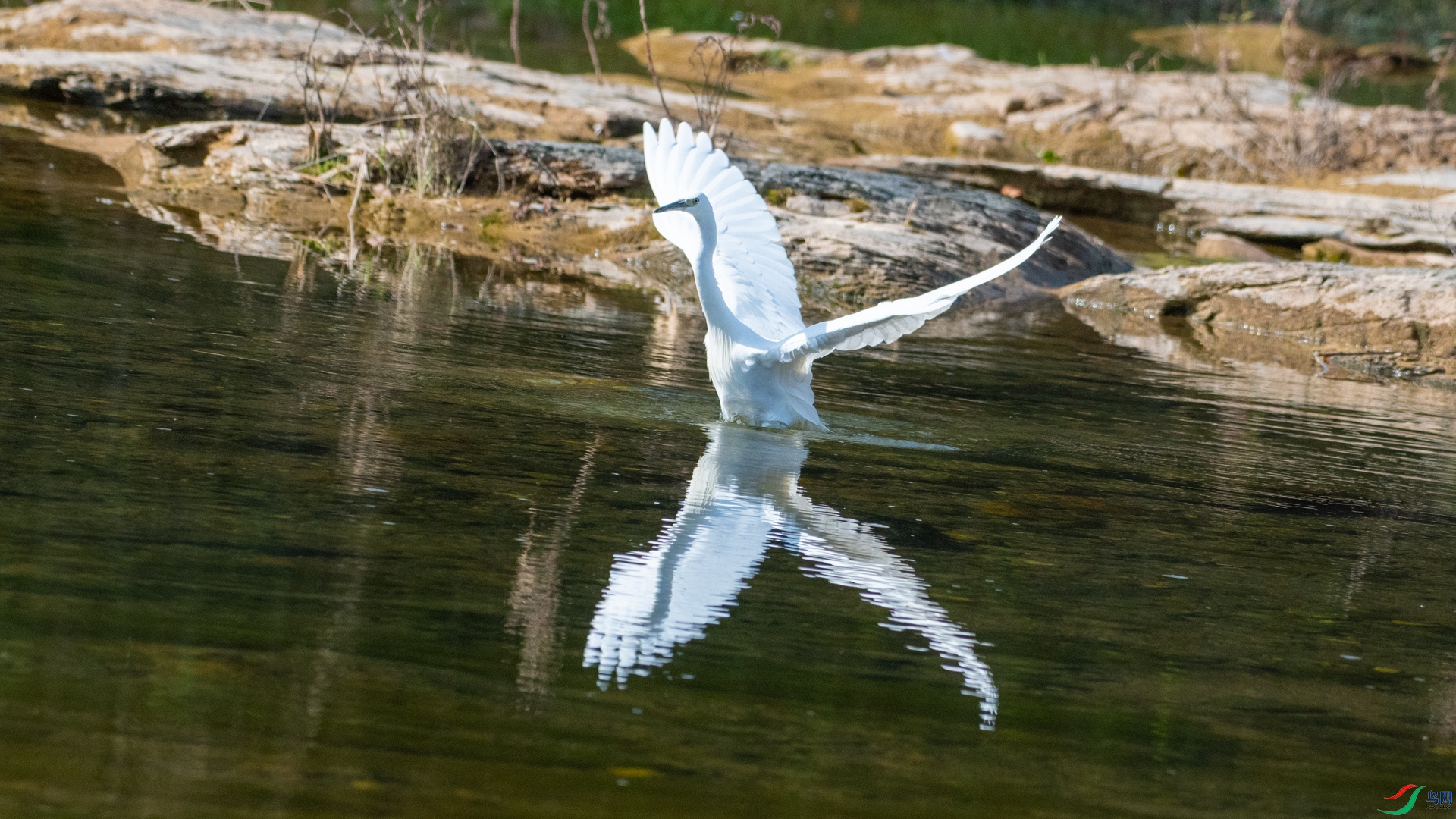 DSC_2989.jpg