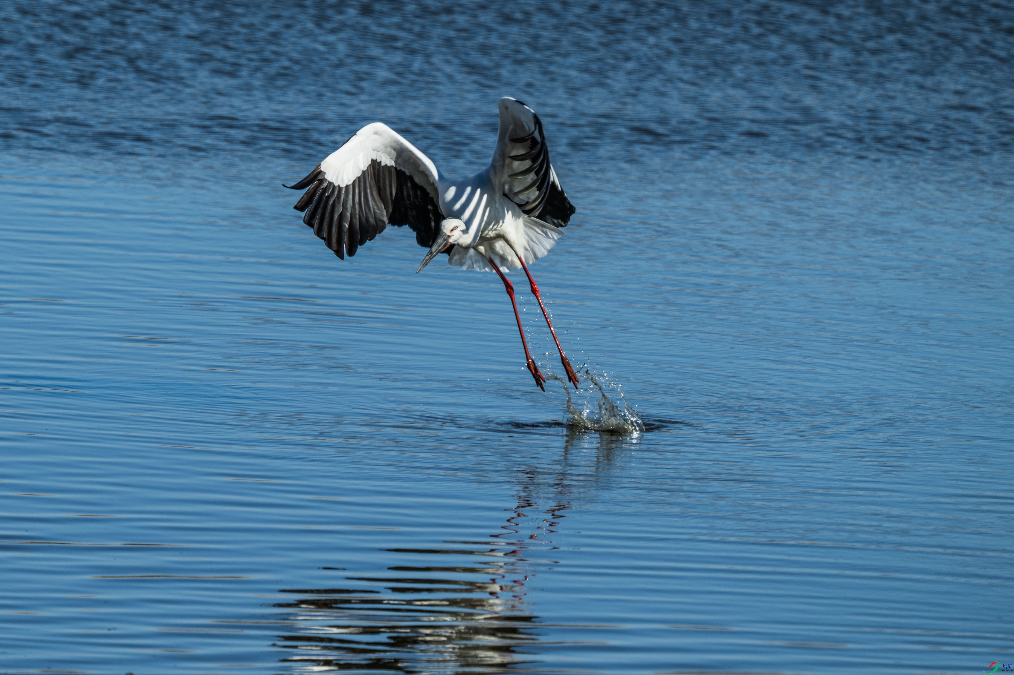 DSC_7286.jpg