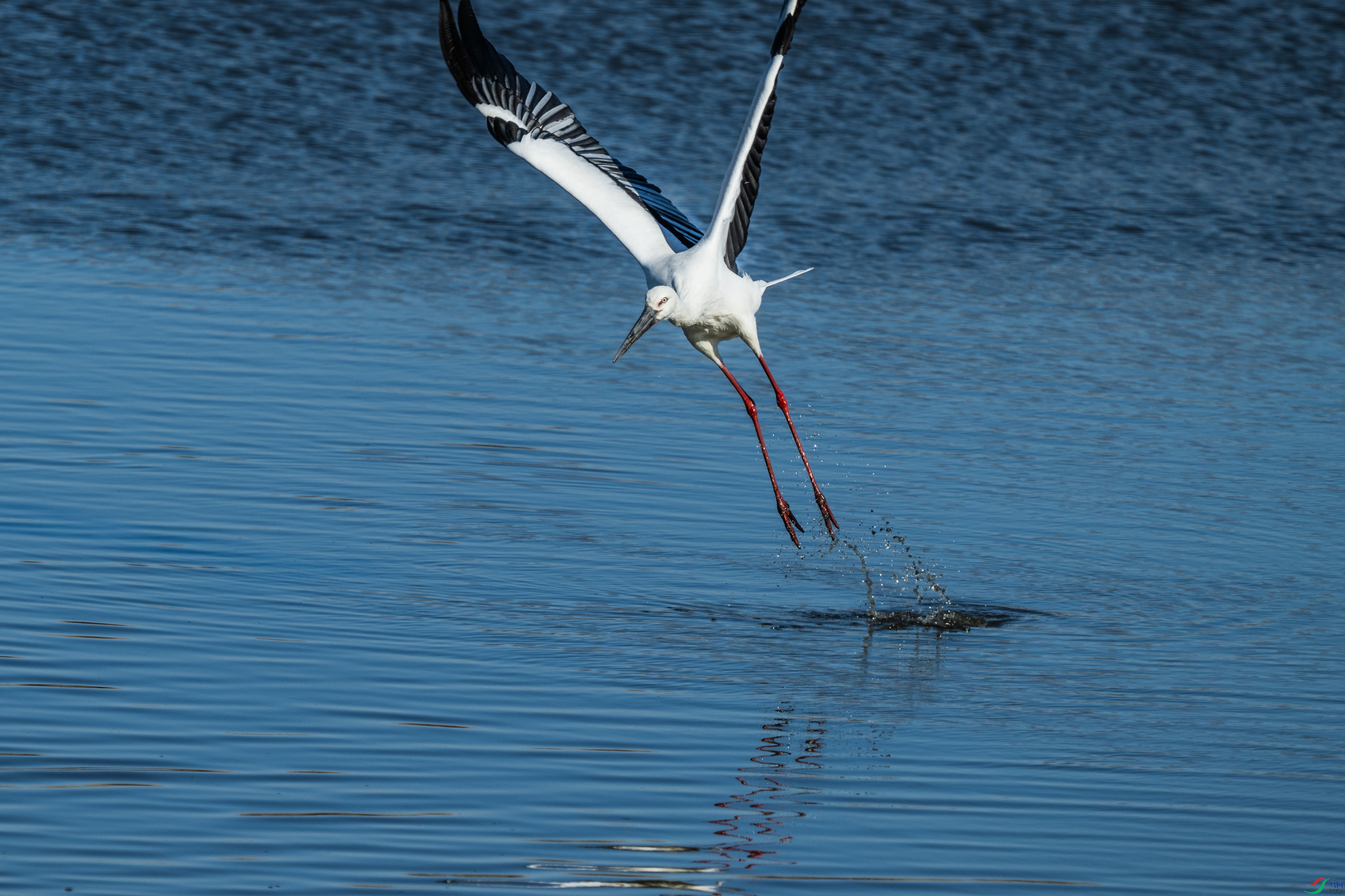 DSC_7287.jpg