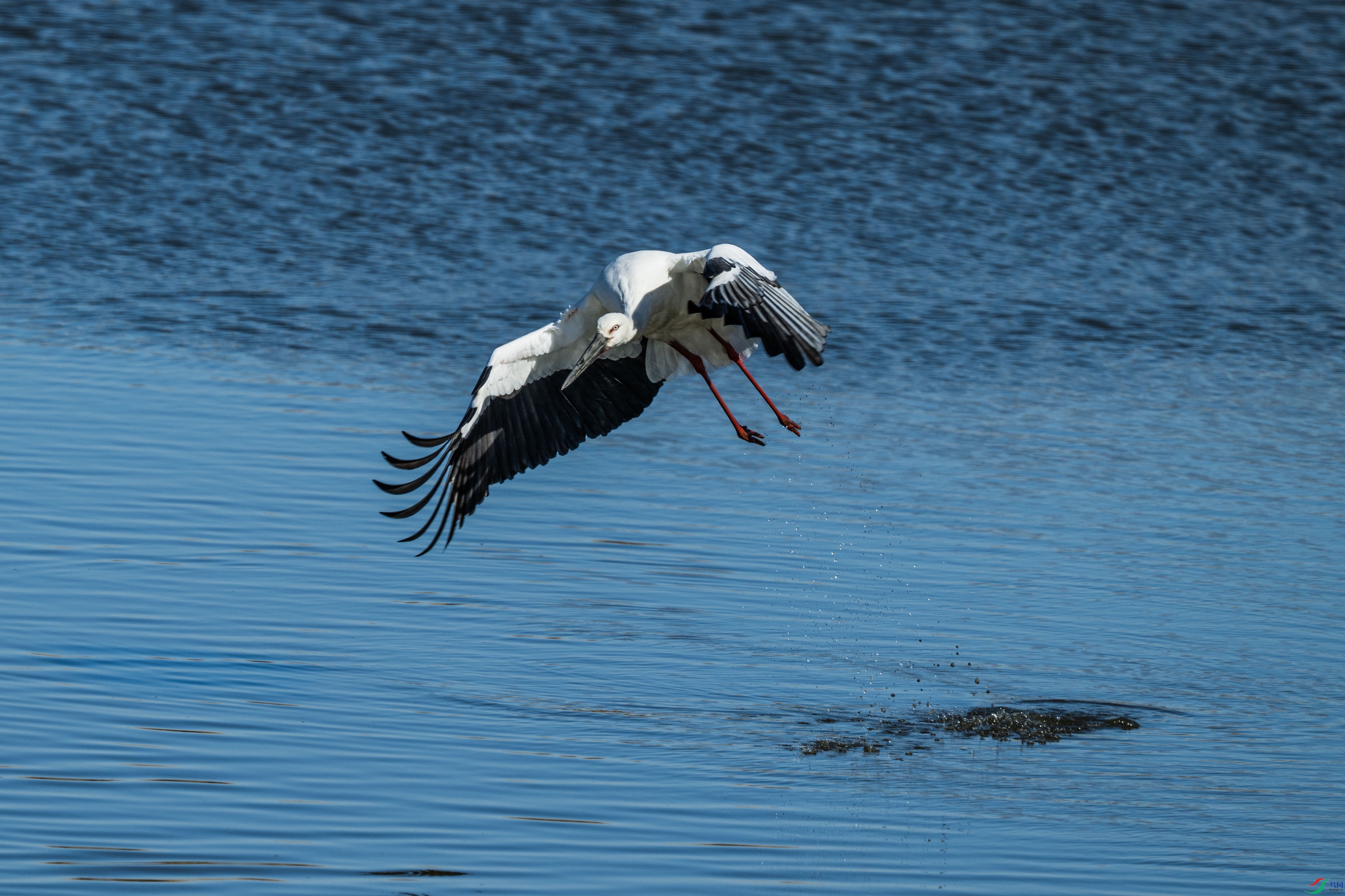 DSC_7288.jpg