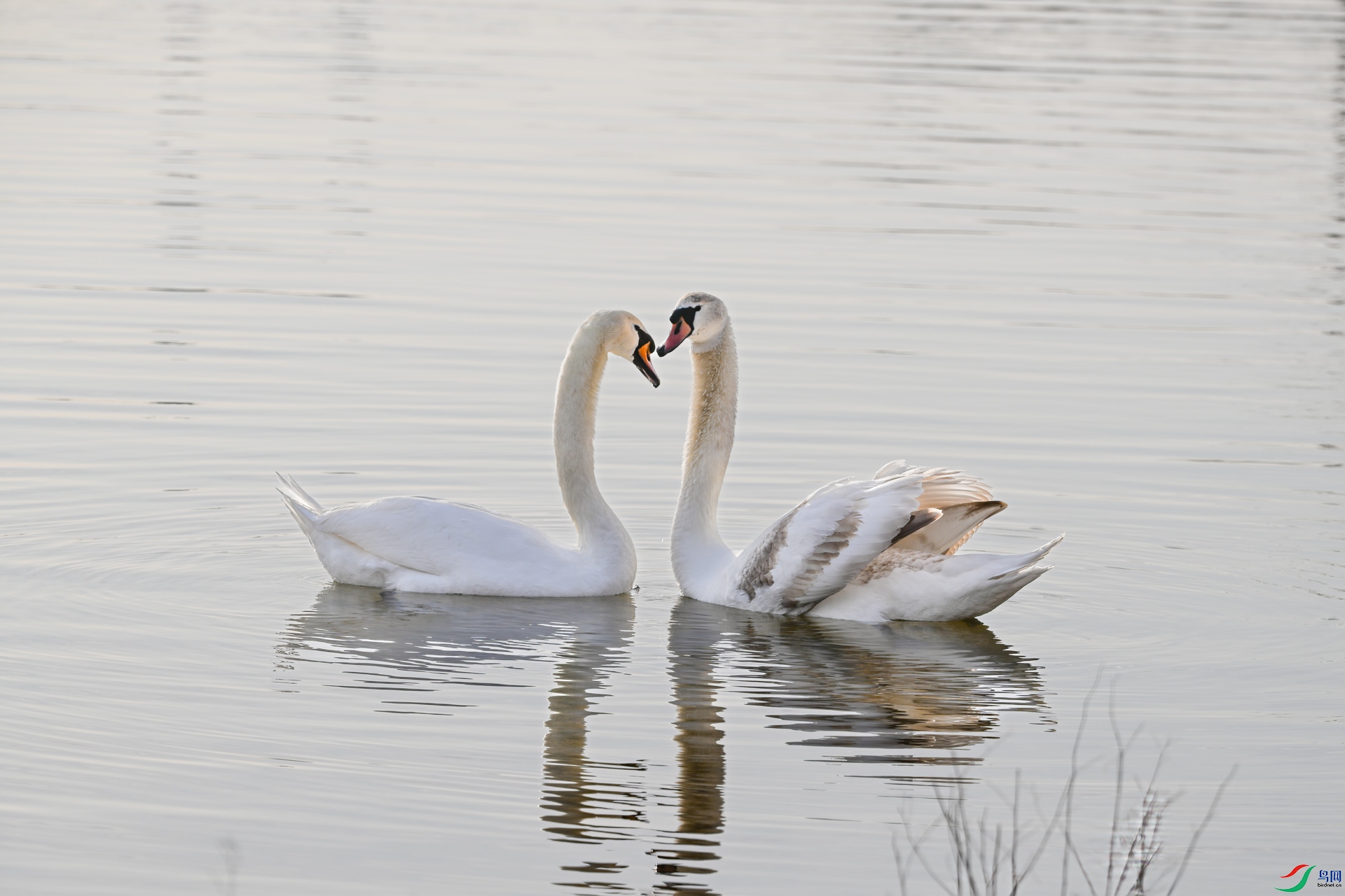 DSC_5422-�༭.jpg