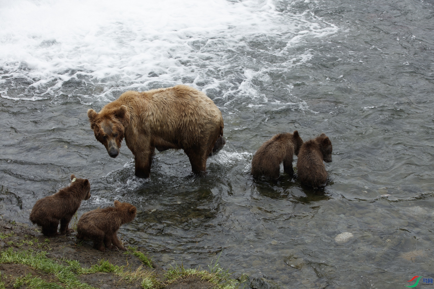 0S9A7060 ����.jpg