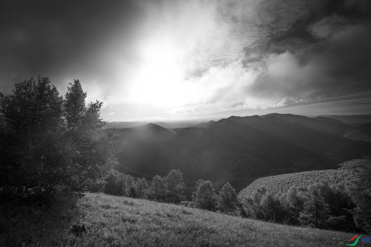 0S9A6954 ����.jpg