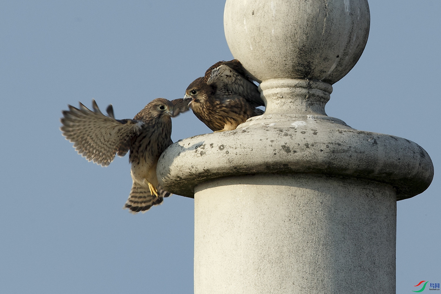 A68O8316 ����.jpg