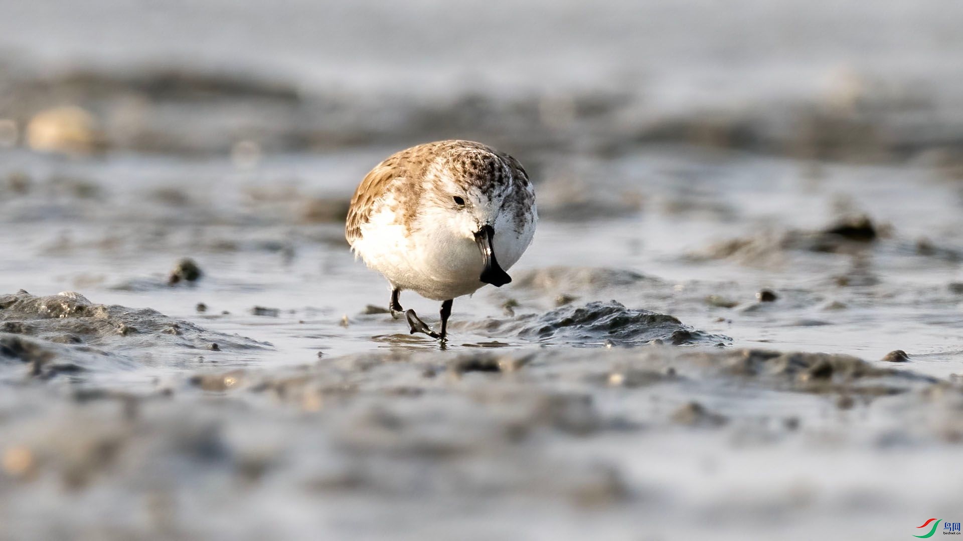 _DSC9980 ����.jpg