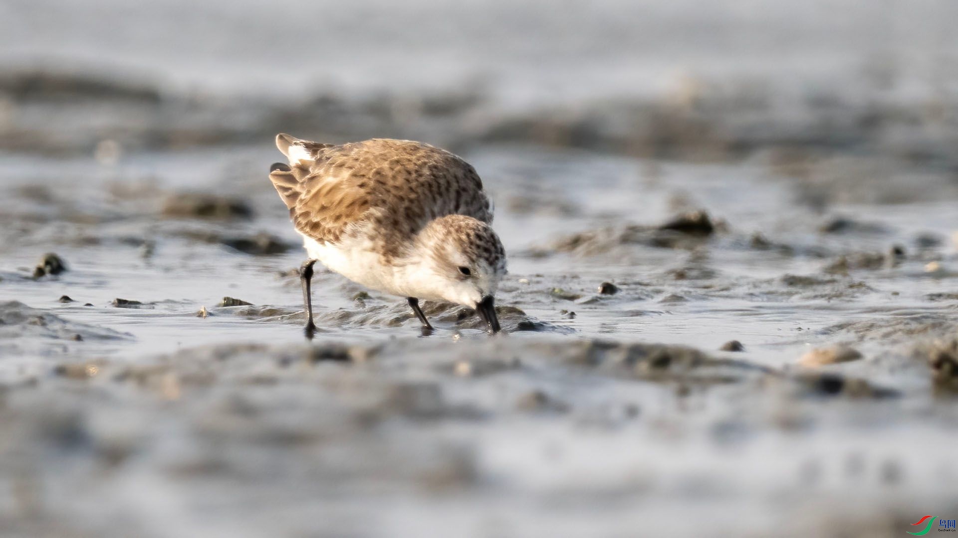 _DSC9987 ����.jpg