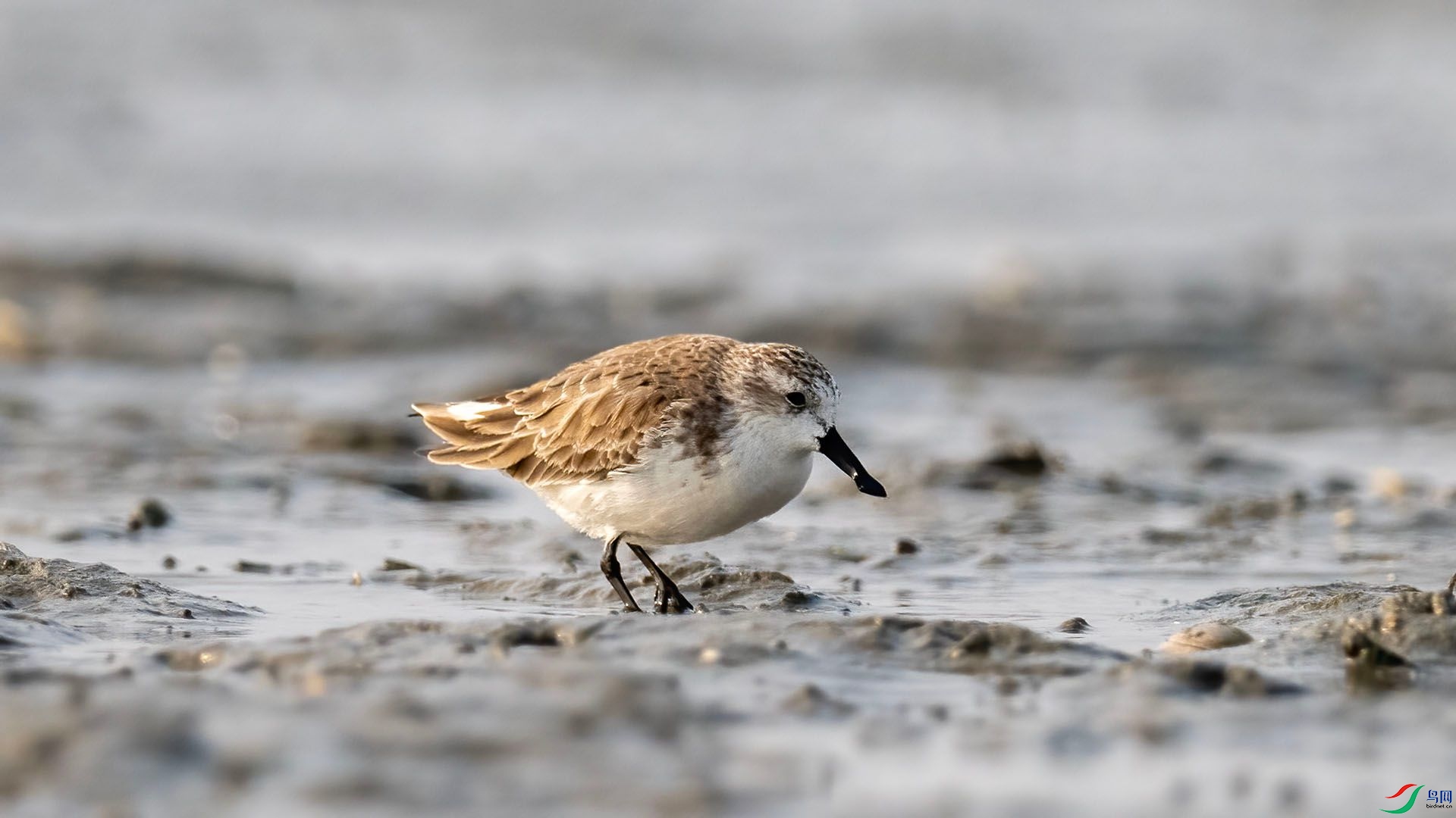 _DSC9997 ����.jpg